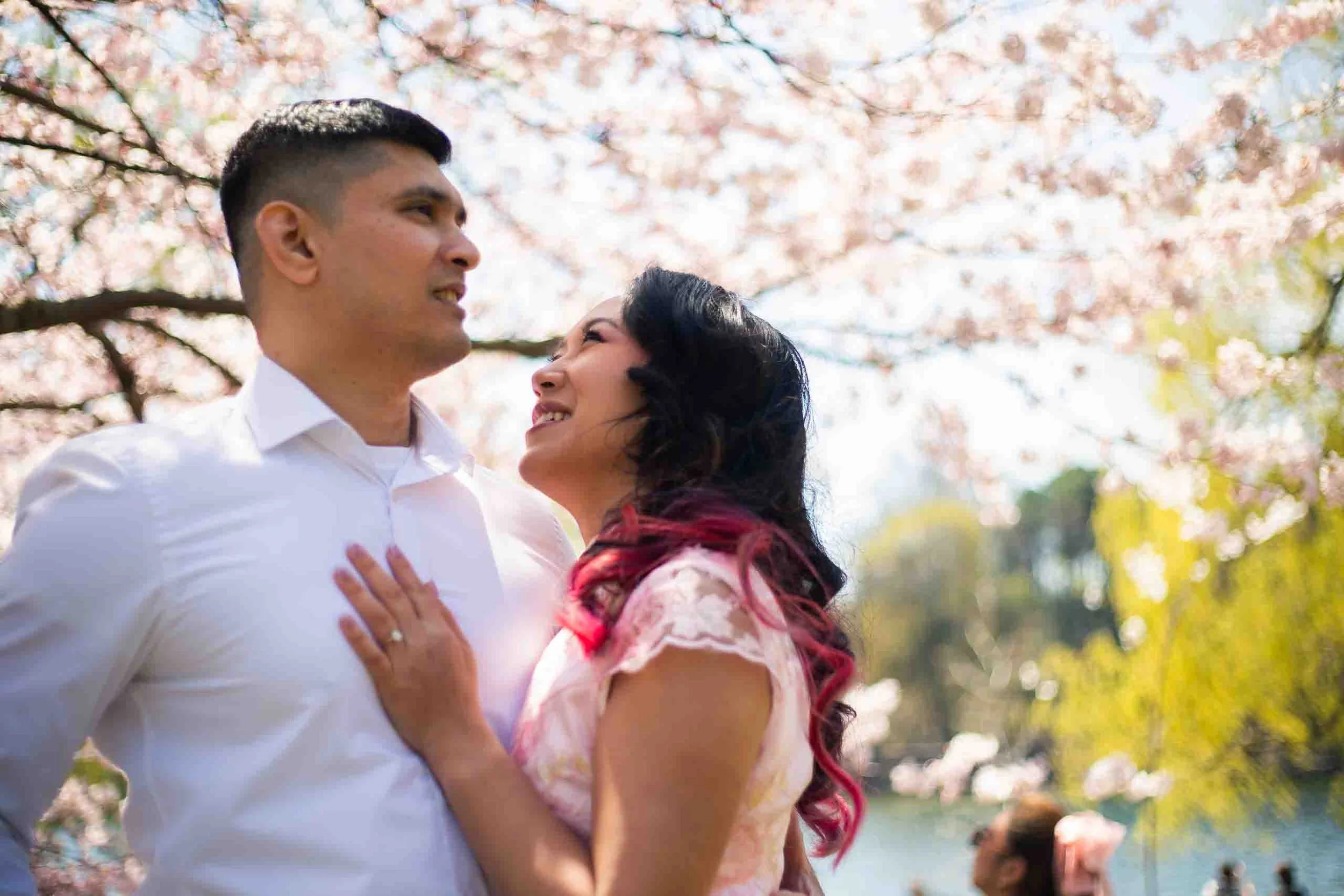 Cherry blossom engagement photos at High Park