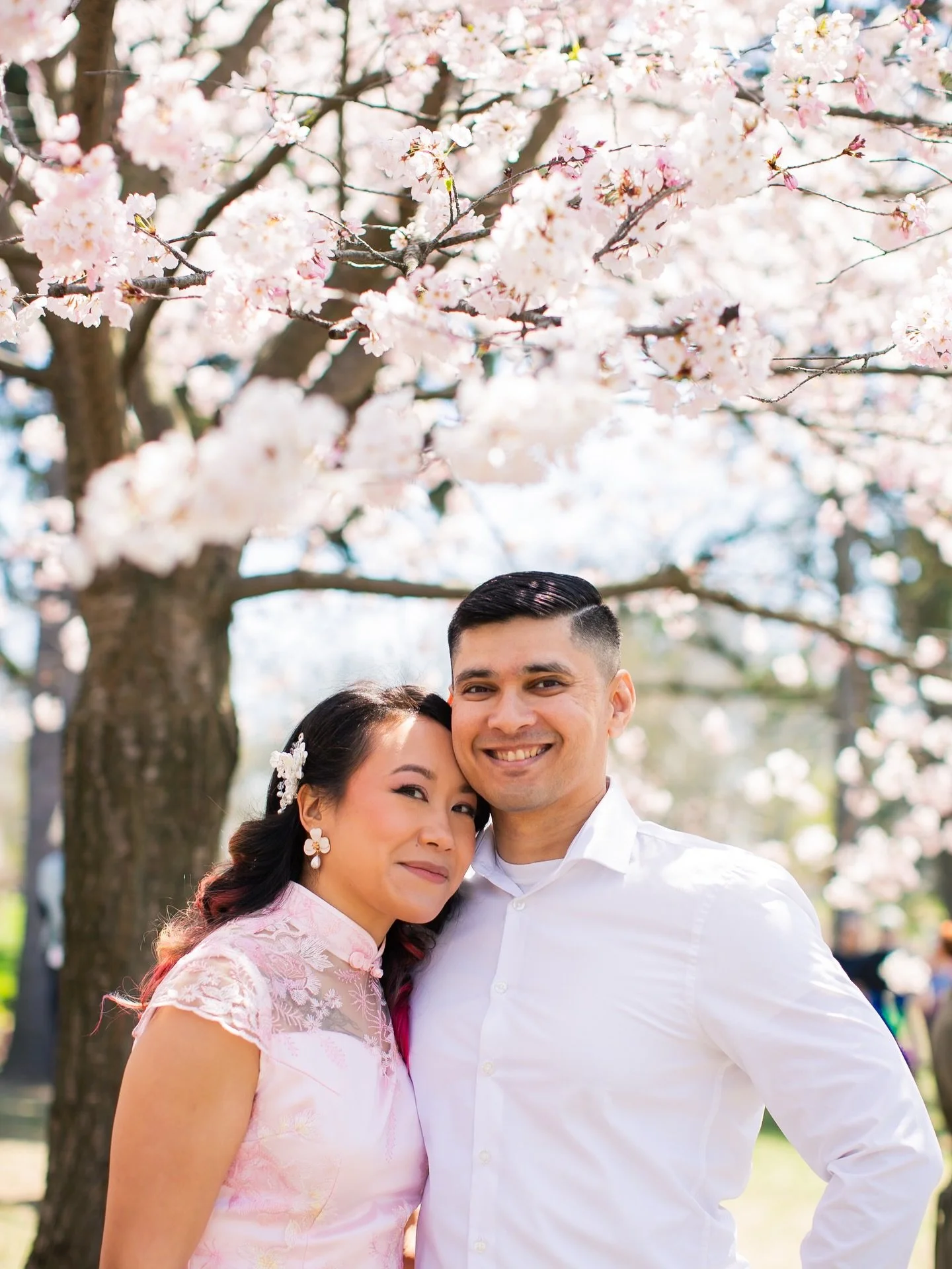 Cherry blossoms engagement photoshoot at High Park, Toronto #cherryblossom #engagementshoot #cherryblossomengagement #sakura