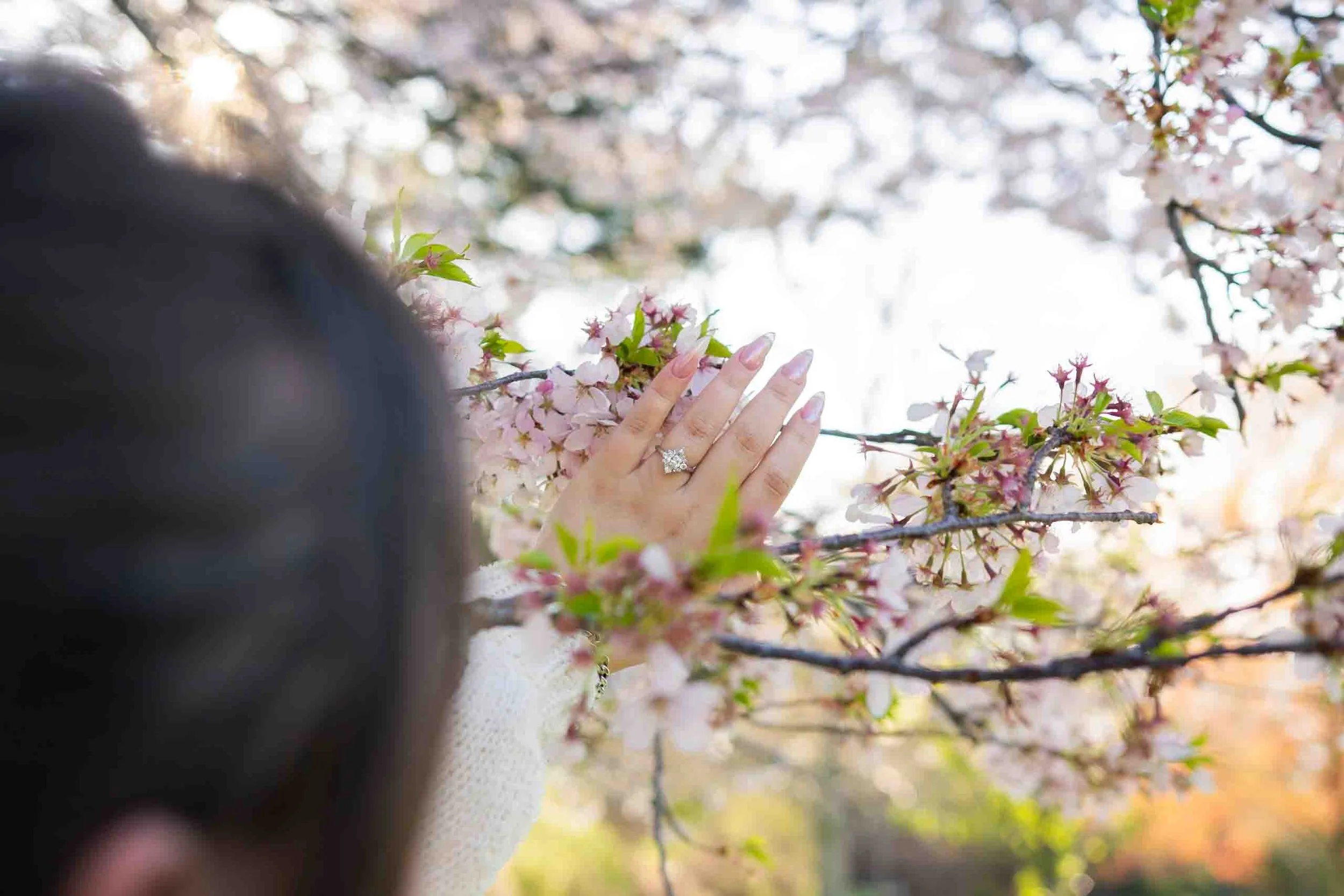 gairloch-gardens-cherry-blossom-surprise-proposal-oakville-candid-editorial.jpg-38.jpg