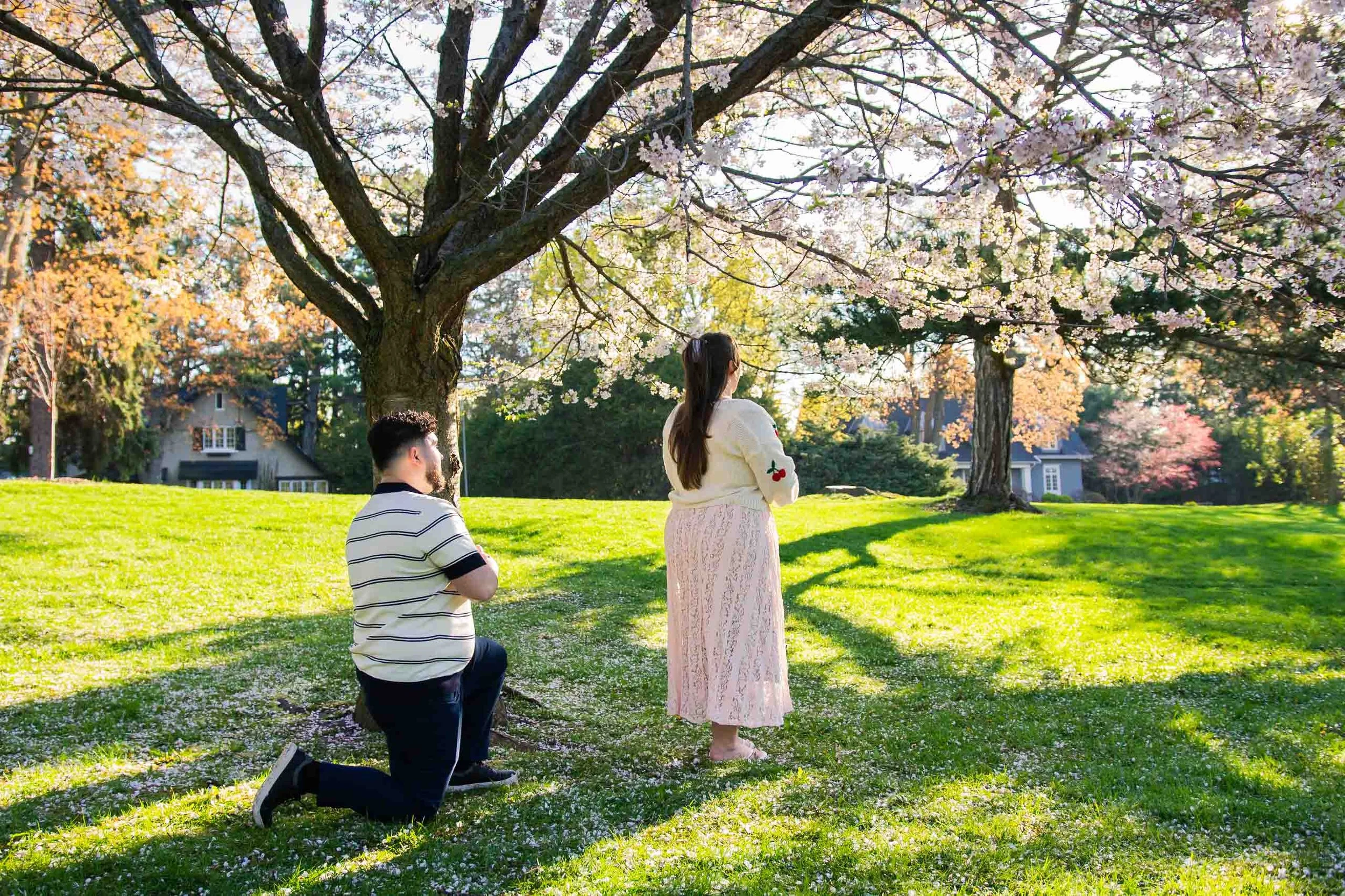 gairloch-gardens-cherry-blossom-surprise-proposal-oakville-candid-editorial.jpg-7.jpg