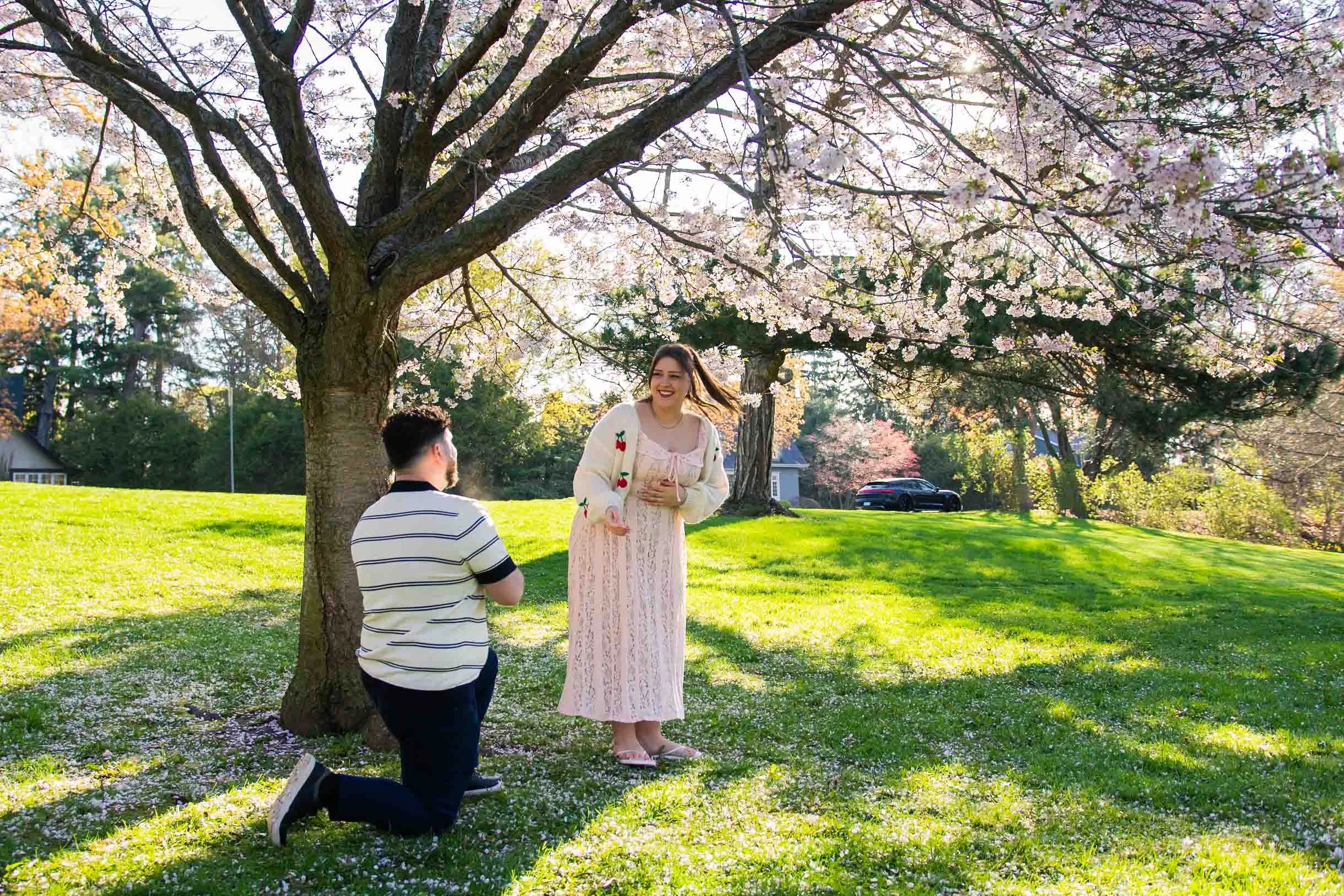 gairloch-gardens-cherry-blossom-surprise-proposal-oakville-candid-editorial.jpg-11.jpg