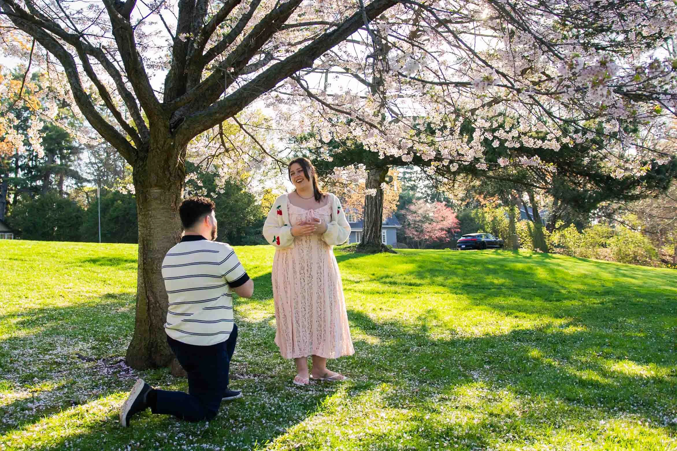 gairloch-gardens-cherry-blossom-surprise-proposal-oakville-candid-editorial.jpg-12.jpg