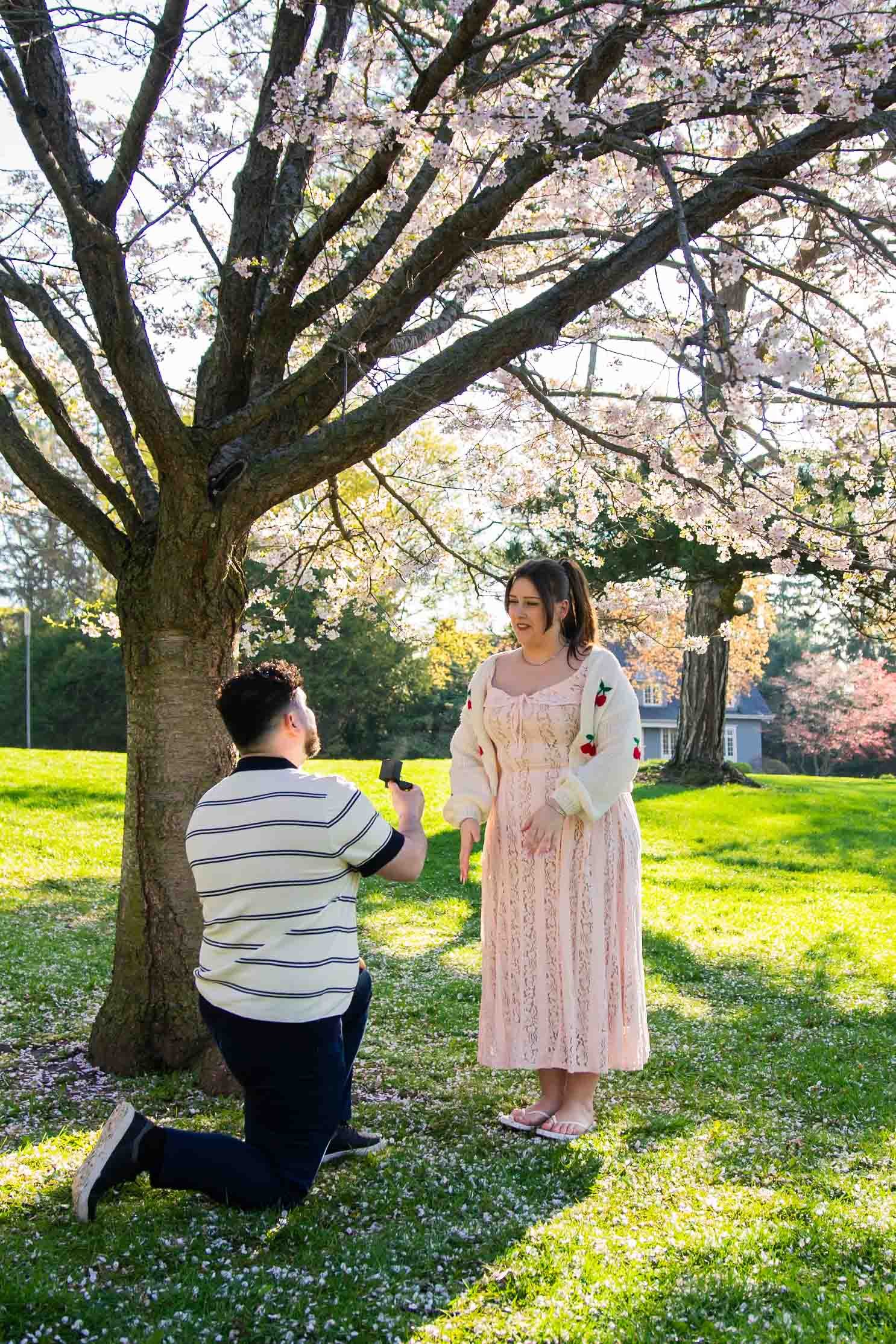 gairloch-gardens-cherry-blossom-surprise-proposal-oakville-candid-editorial.jpg-20.jpg
