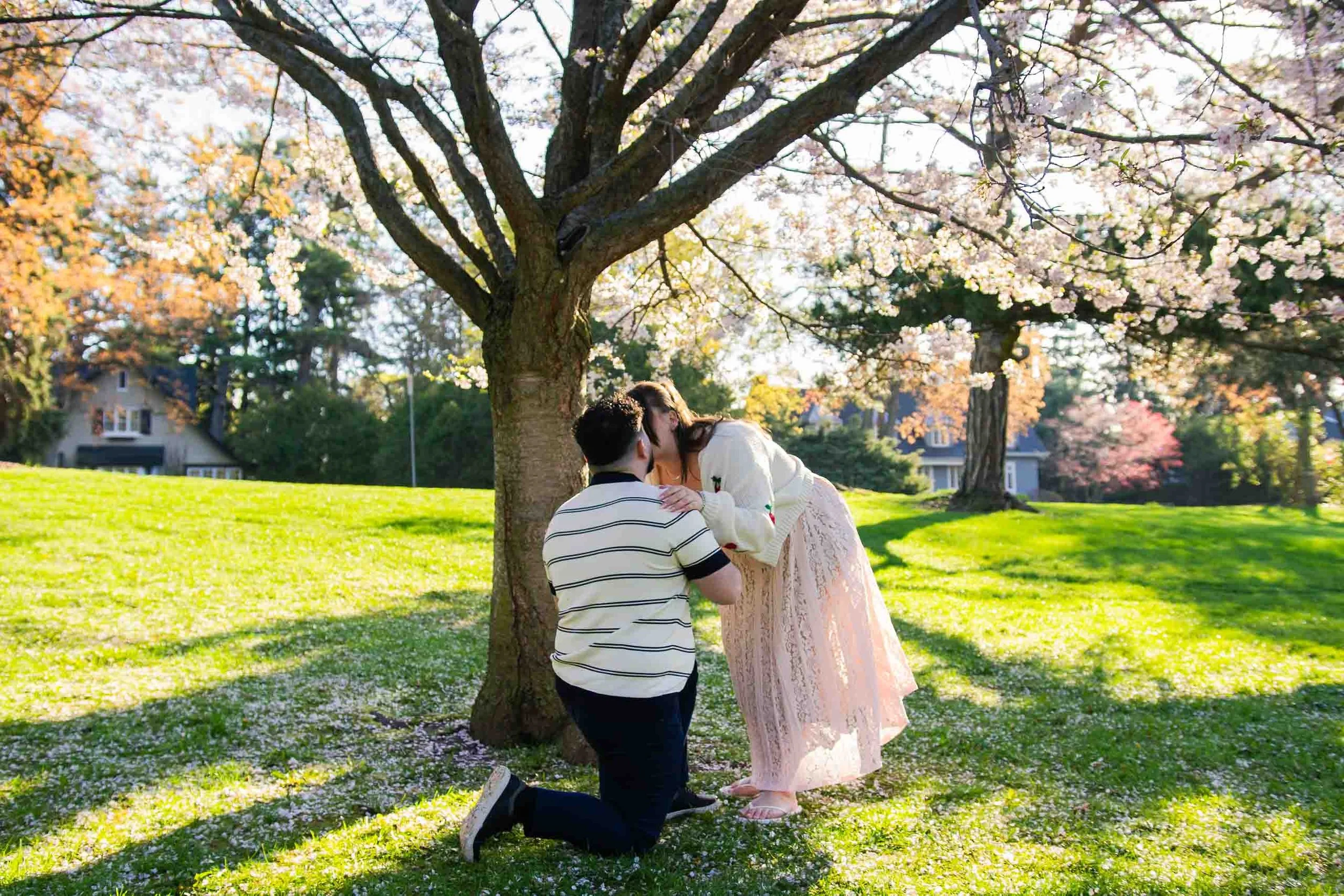 gairloch-gardens-cherry-blossom-surprise-proposal-oakville-candid-editorial.jpg-21.jpg