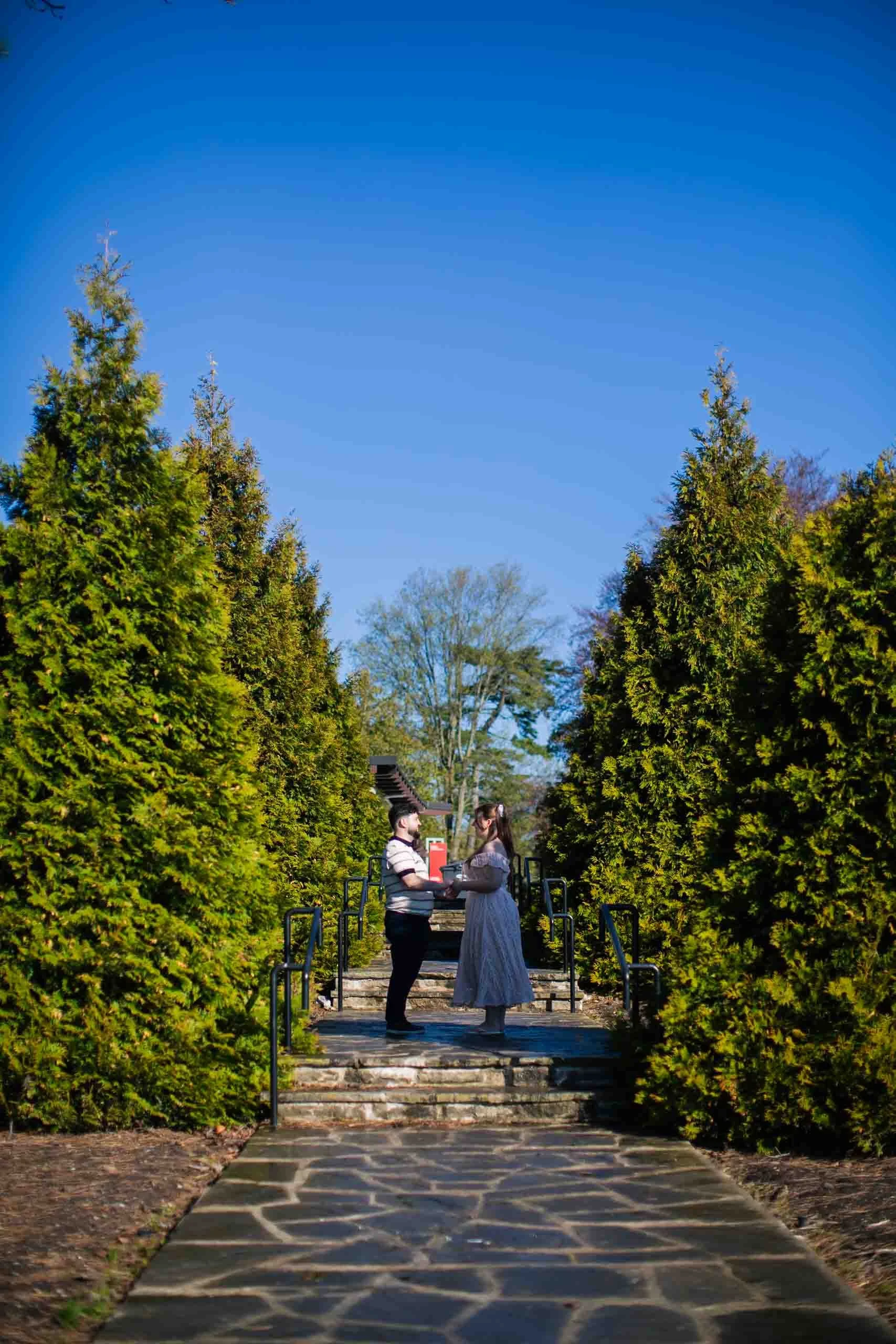 gairloch-gardens-cherry-blossom-surprise-proposal-oakville-candid-editorial.jpg-116.jpg