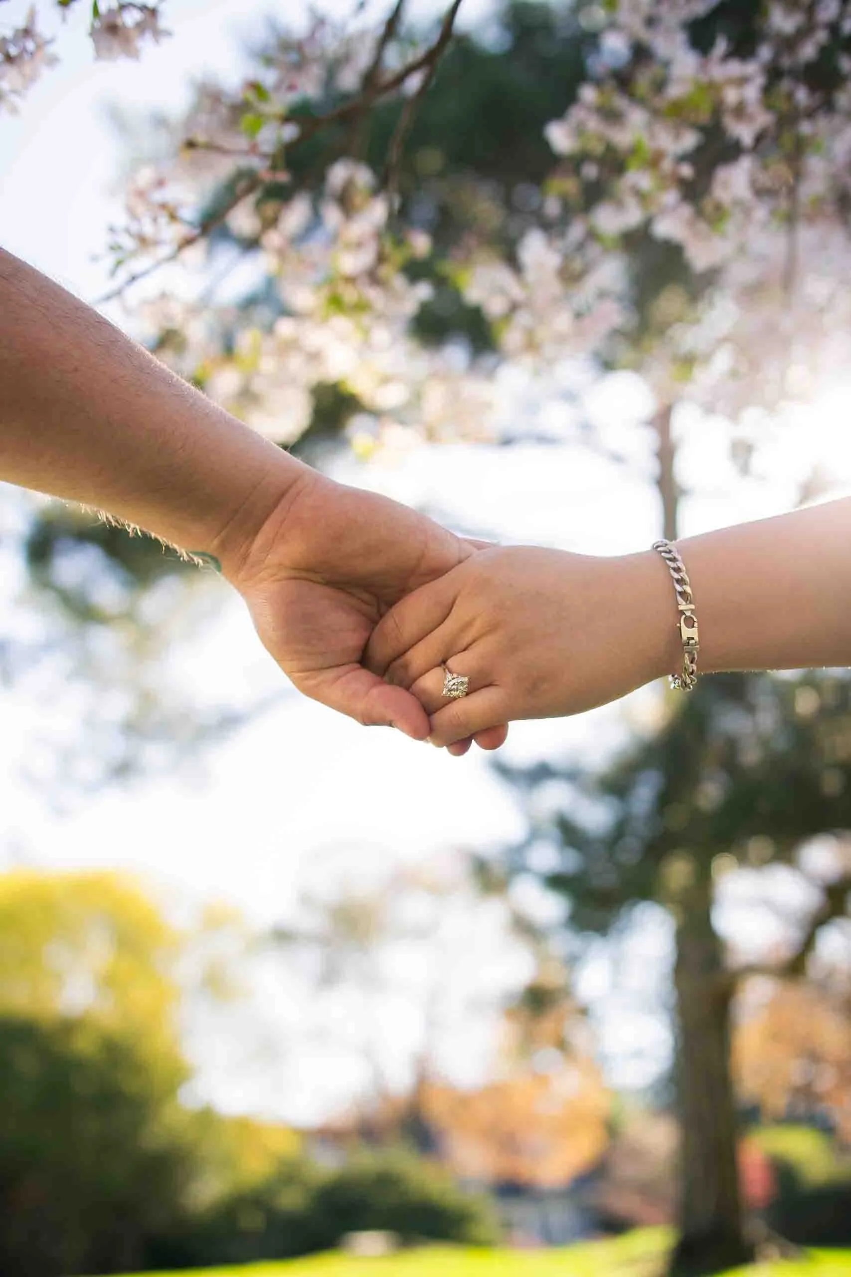 gairloch-gardens-cherry-blossom-surprise-proposal-oakville-candid-editorial.jpg-127.jpg