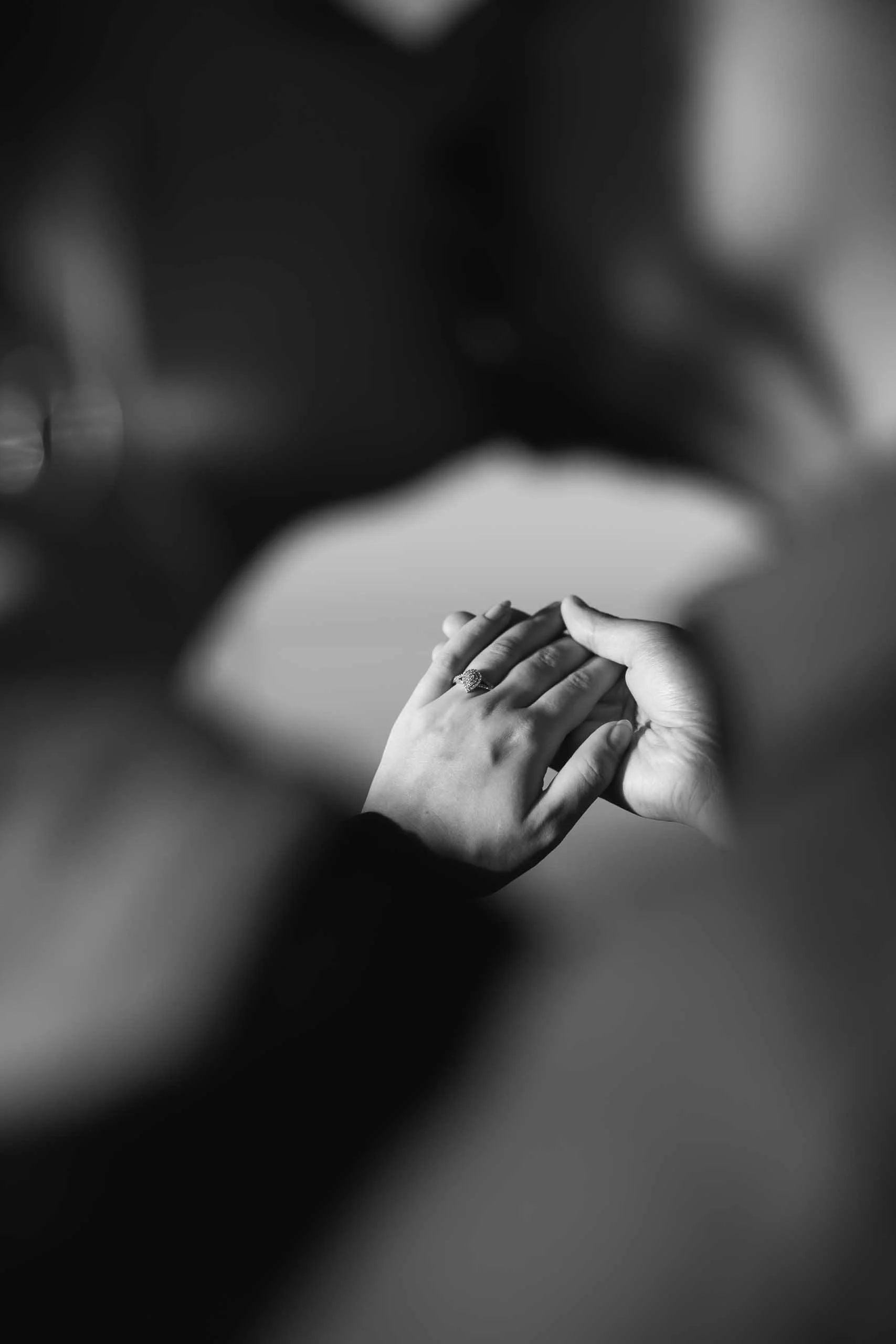 richards-memorial-park-sunrise-engagement-photoshoot-mississauga-candid-editorial.jpg-106.jpg