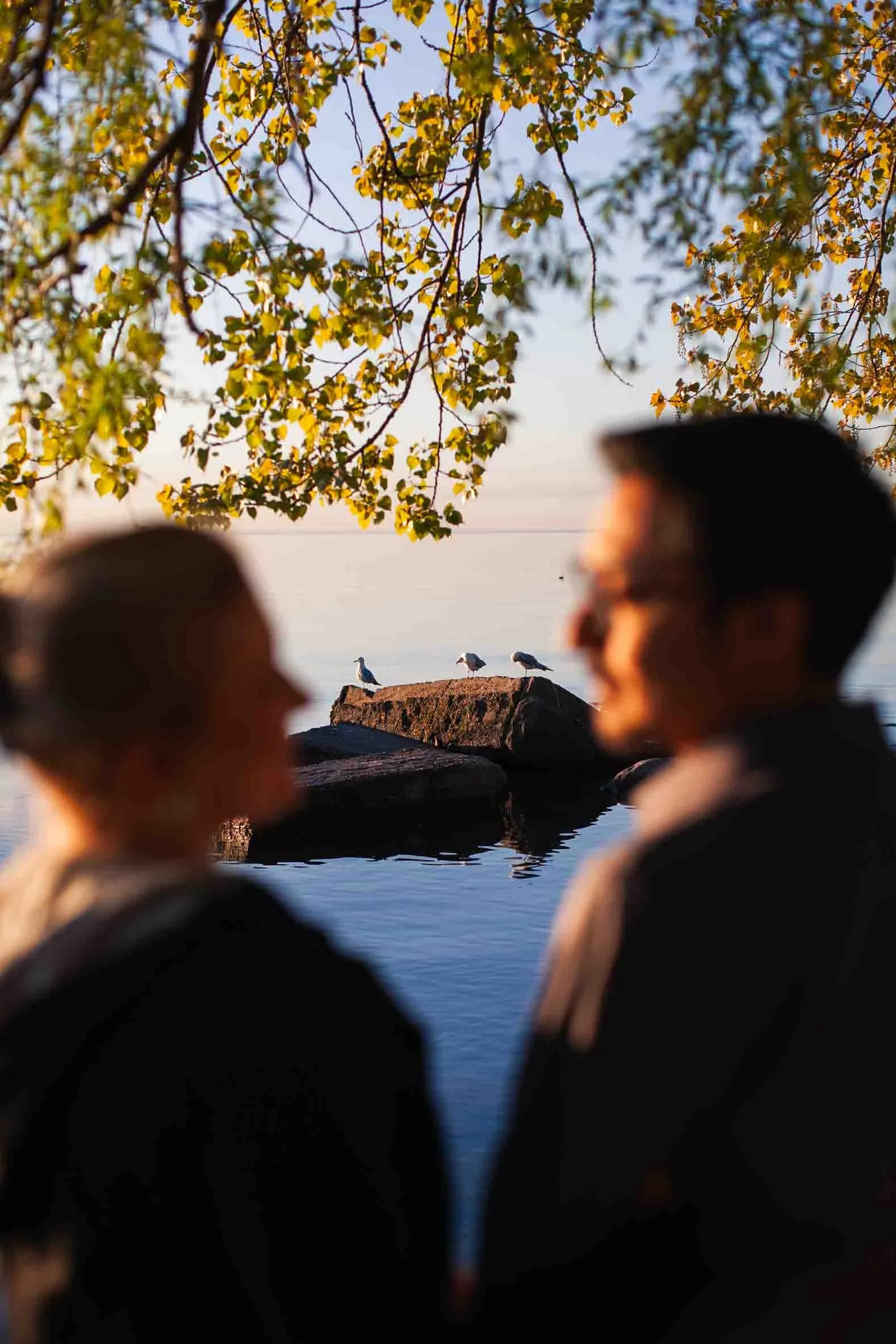 richards-memorial-park-sunrise-engagement-photoshoot-mississauga-candid-editorial.jpg-179.jpg