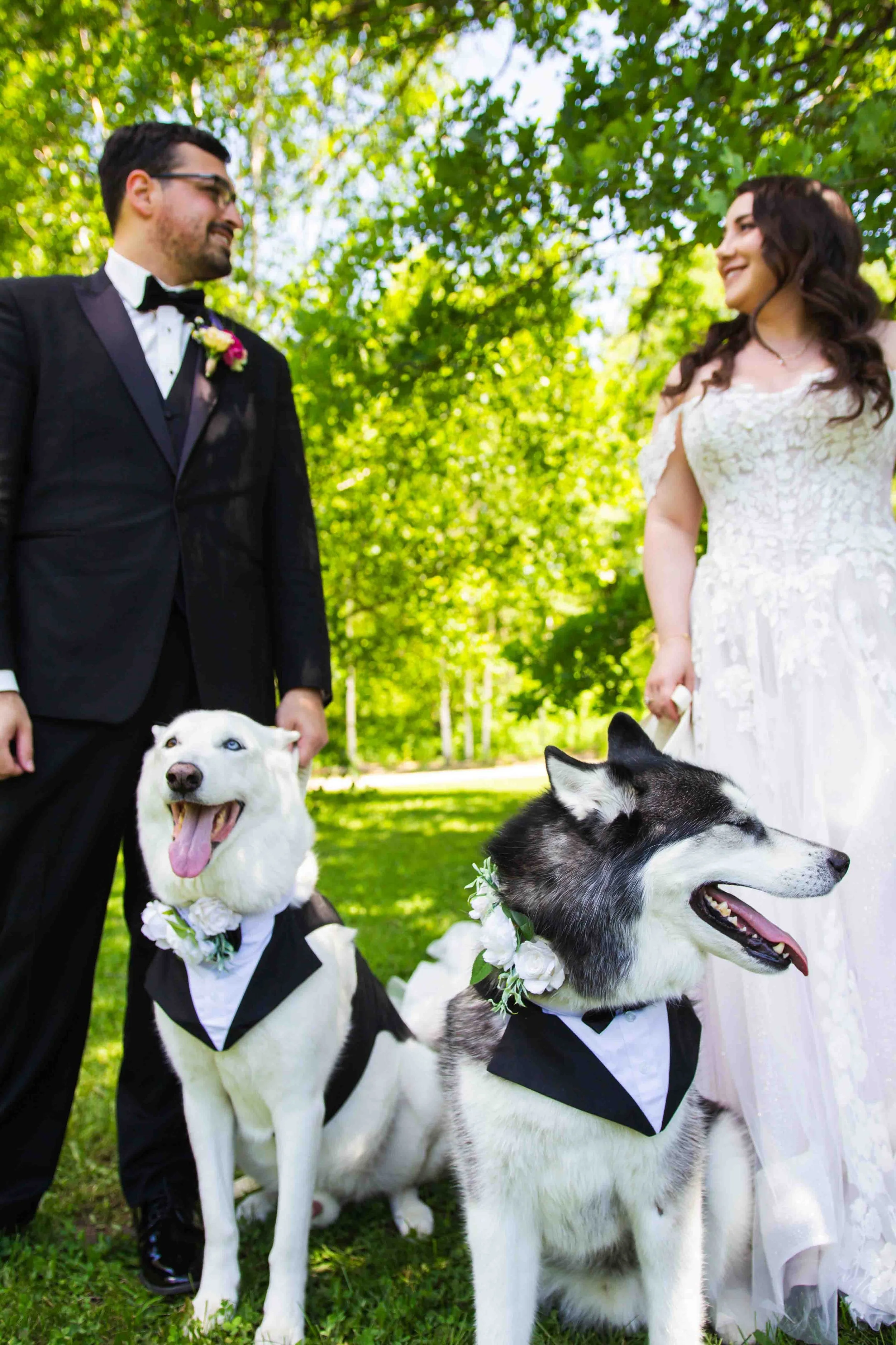 Pre-Wedding Photos at the Arboretum Guelph Ontario