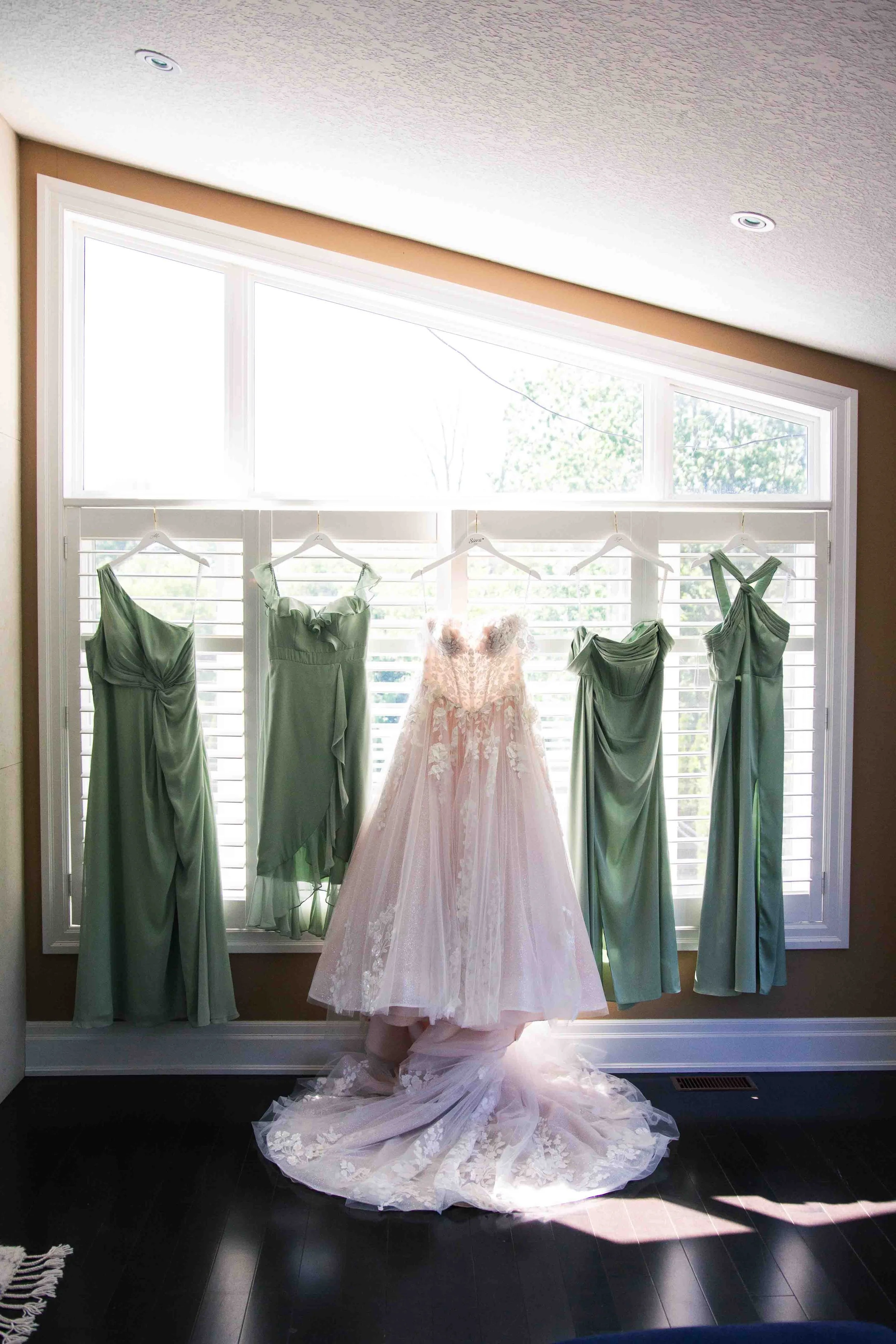 Bride and Bridesmaids Gowns