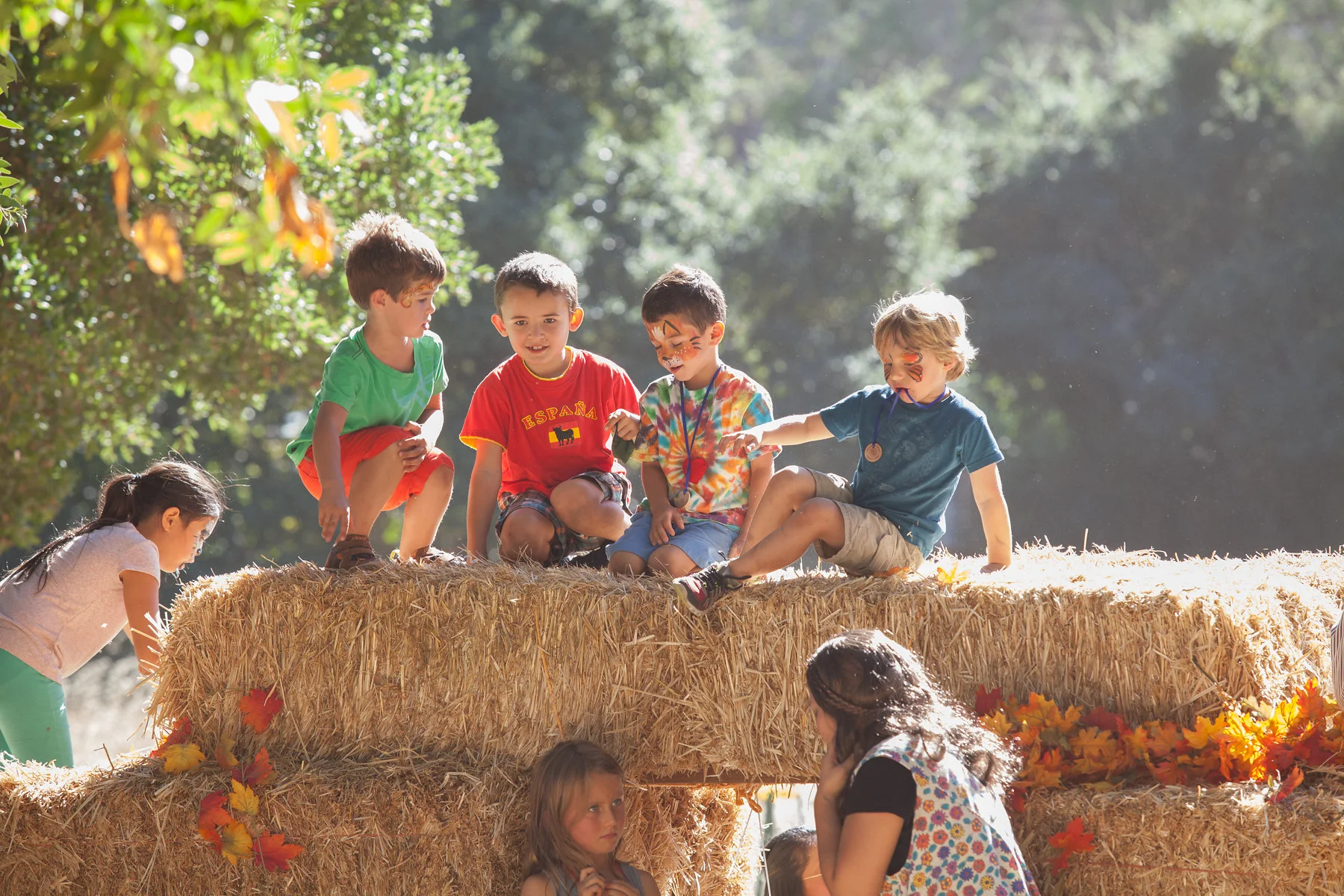oct2015_ChildrensFaire-255.jpg