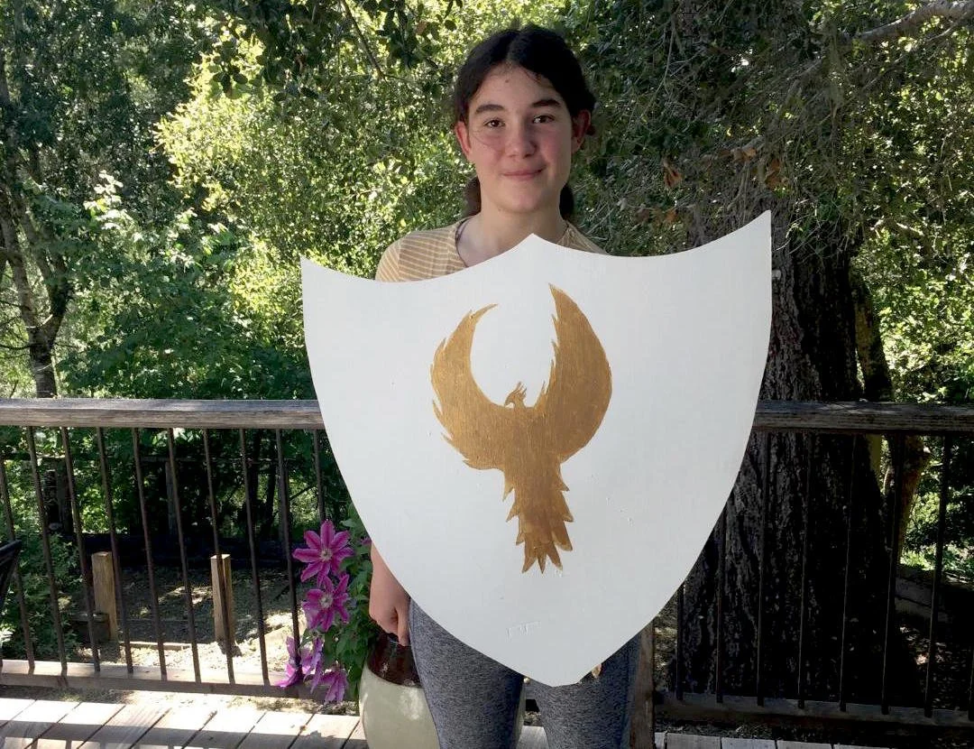 A Knight’s Challenge