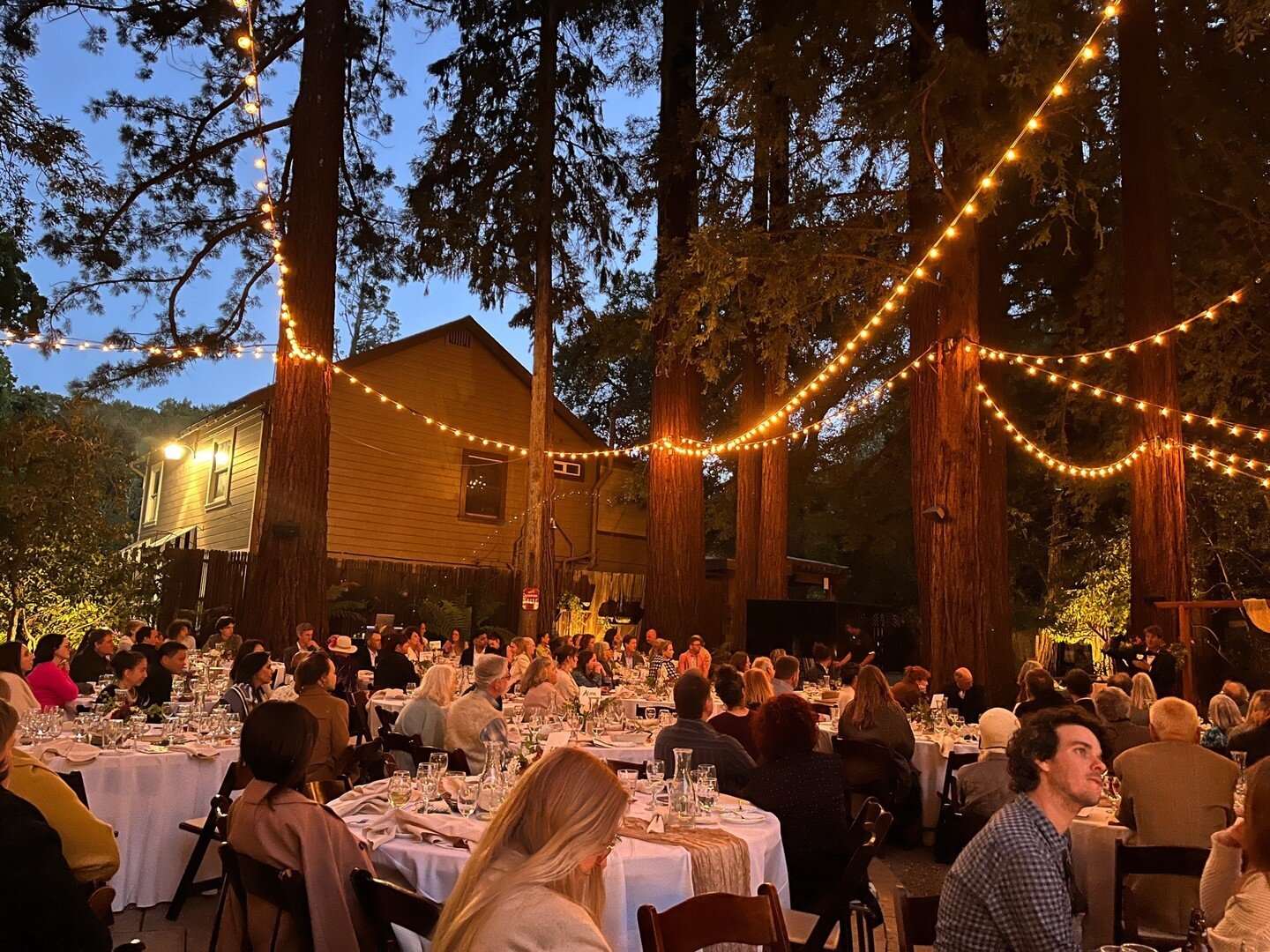 It was a beautiful night! Thank you to everyone who joined us on this very special occasion... and stay tuned for more pictures from our 50th anniversary gala, From Seed to Grove. #waldorfinspired #waldorfschool #waldorfeducation #marincounty