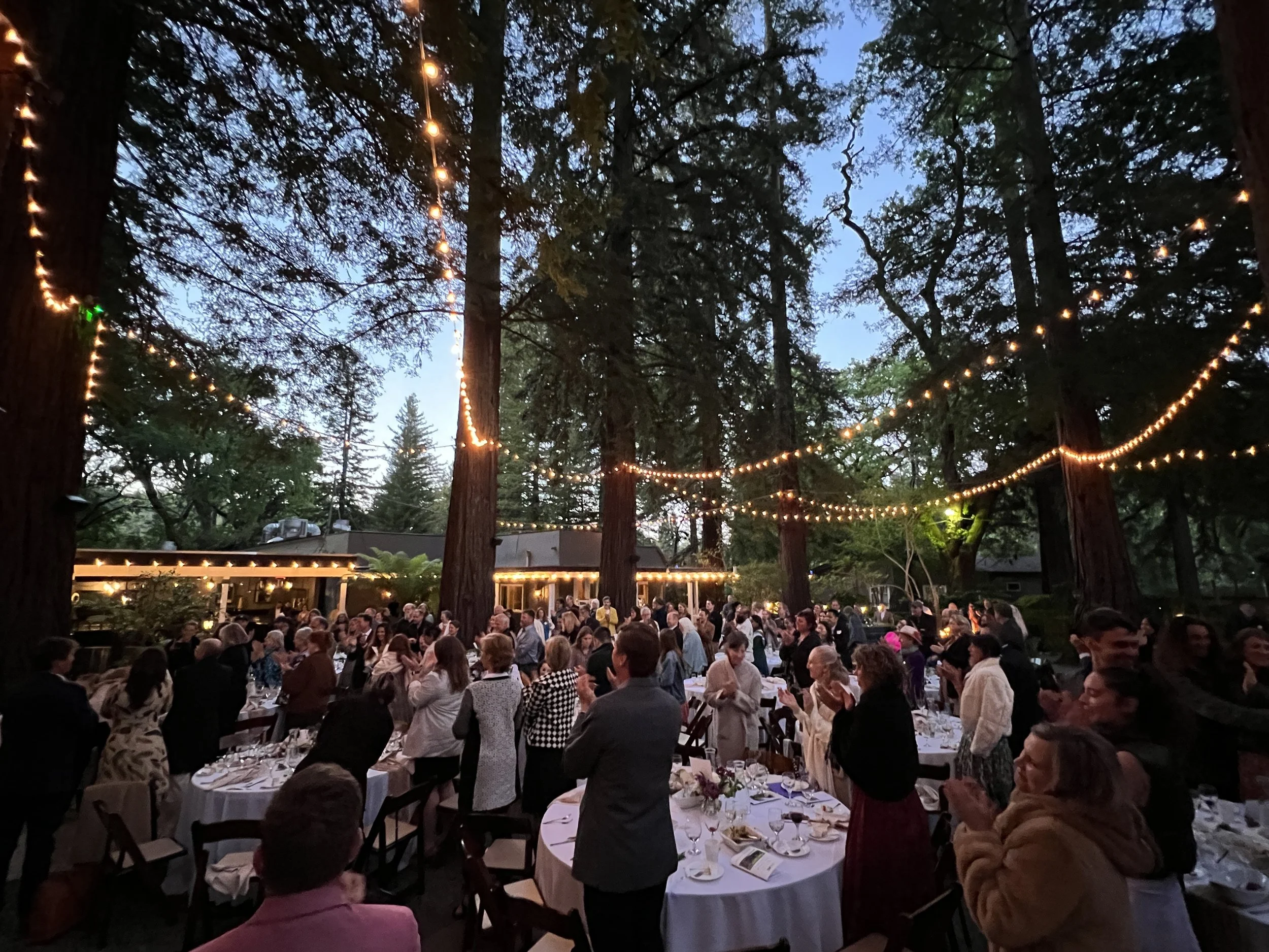 From Seed to Grove: Our 50th Anniversary Gala