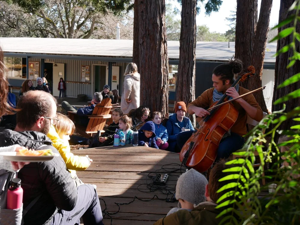Experience Waldorf — Marin Waldorf School