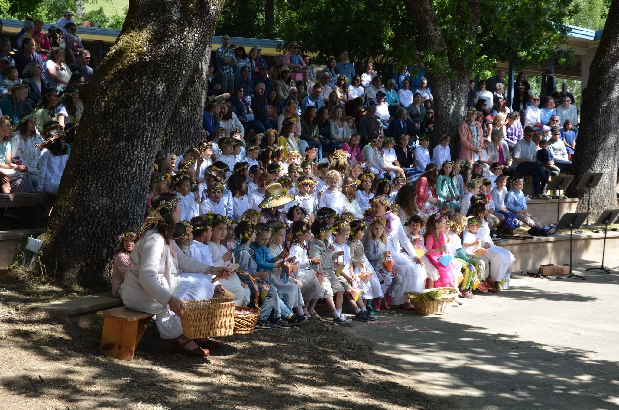 The Power of Connection