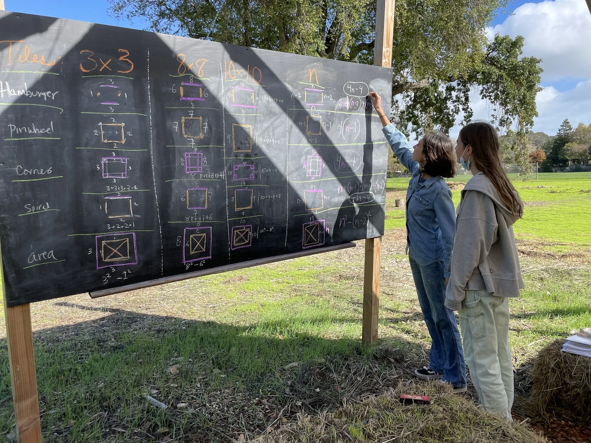 Beyond Numbers in Middle School Algebra