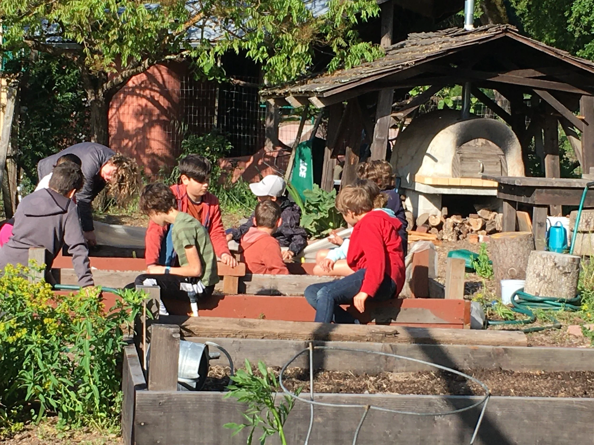 Our Garden Grows: An Update on Our Campus Garden