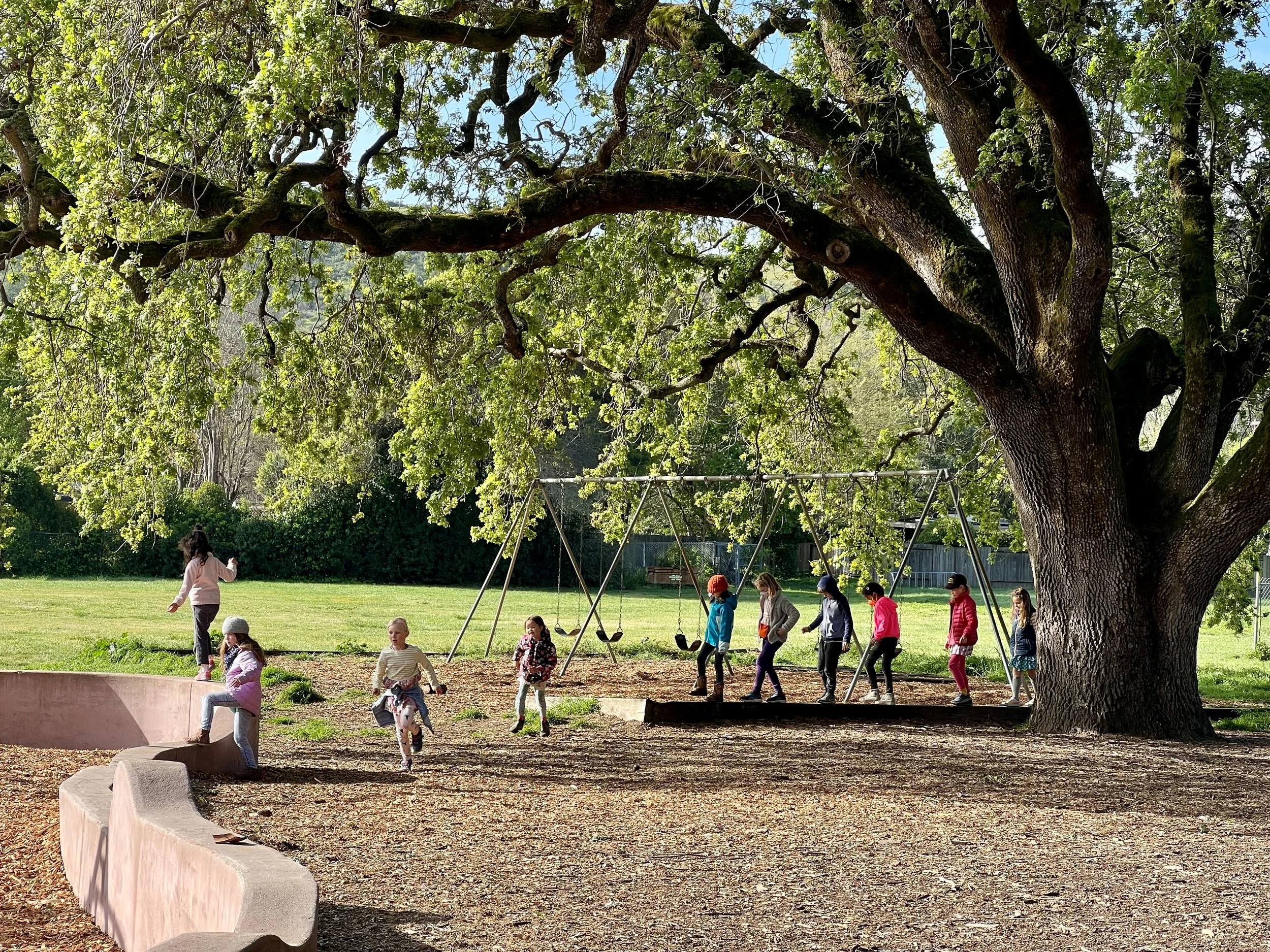 Ways to Give — Marin Waldorf School