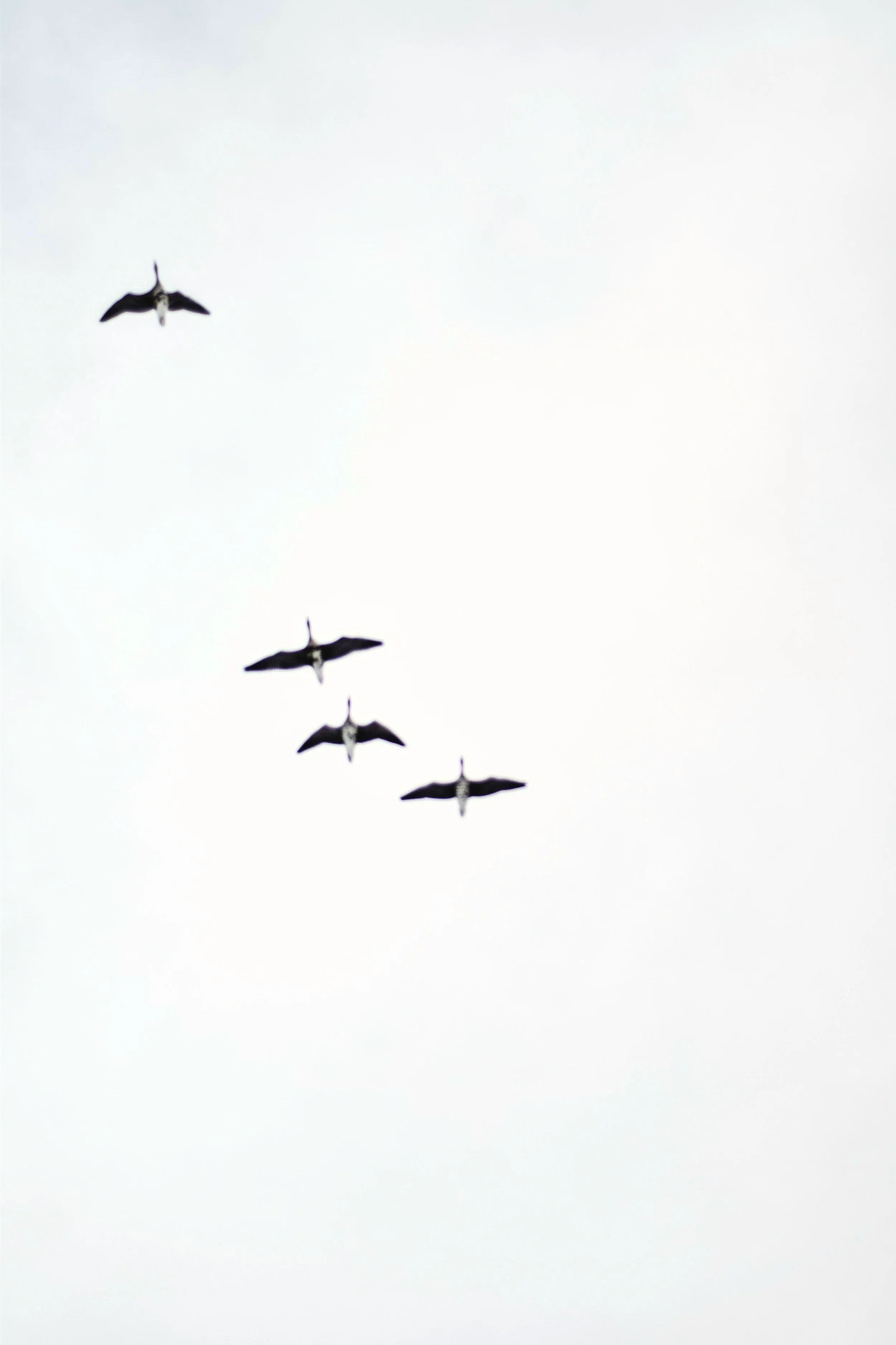 Dear March, Come In!