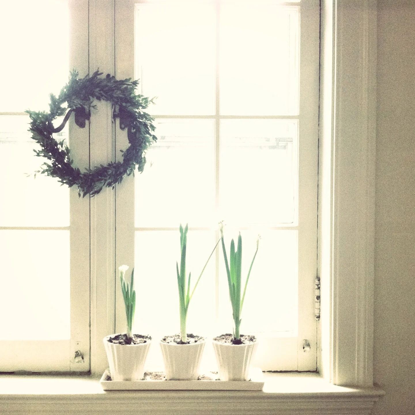 Goals for 2013: April Update