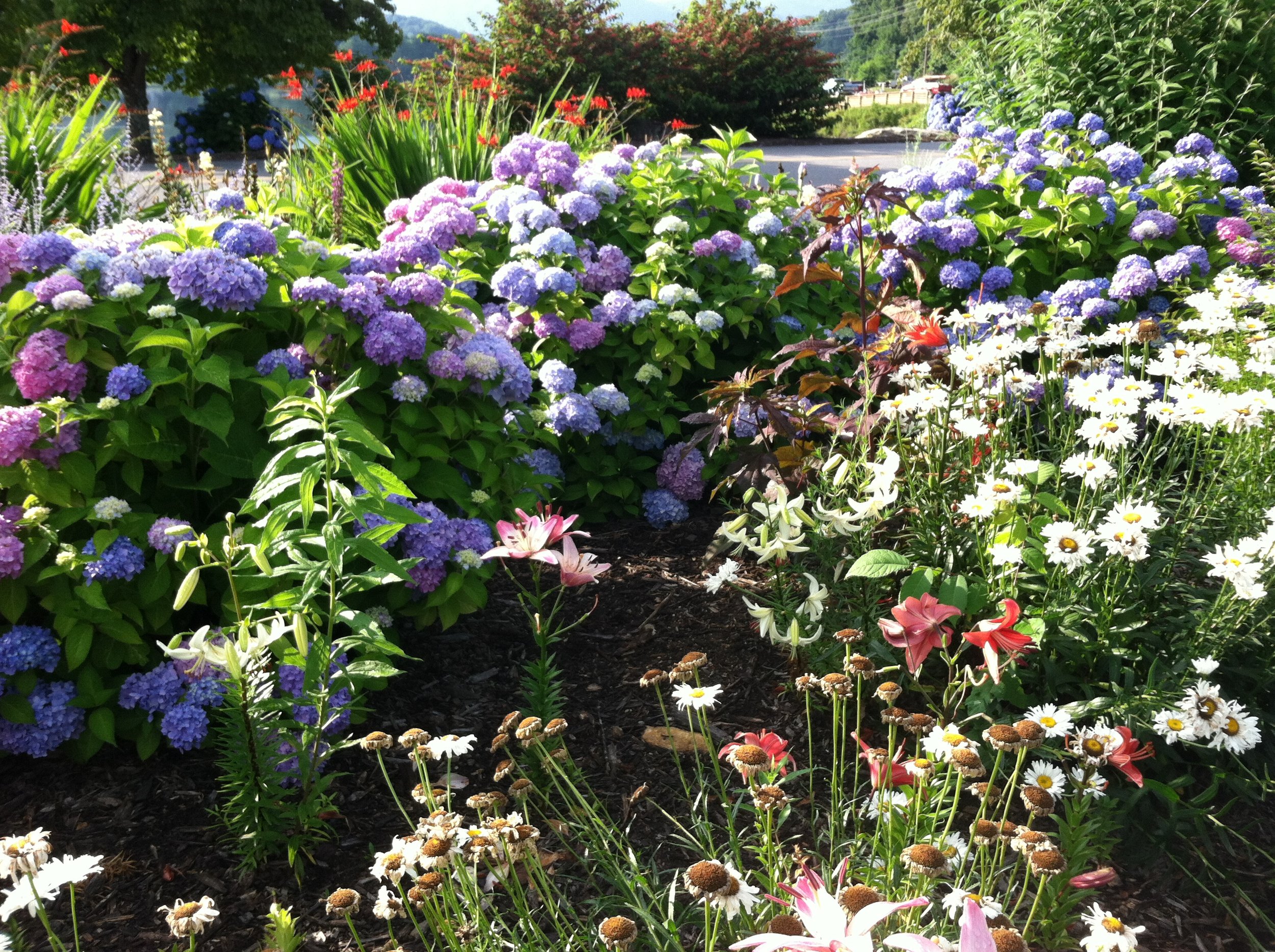 Goals for 2013: July Update