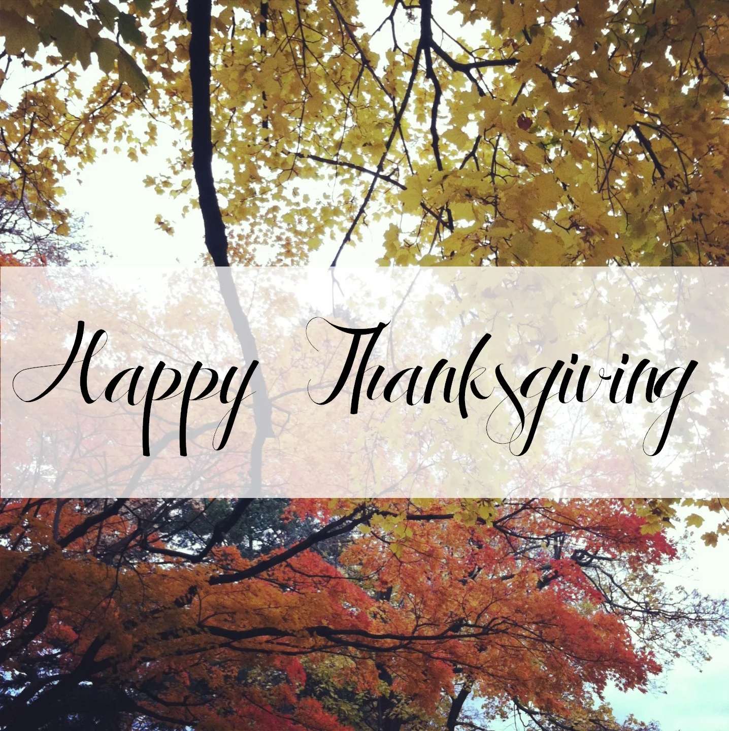 Happy Thanksgiving!