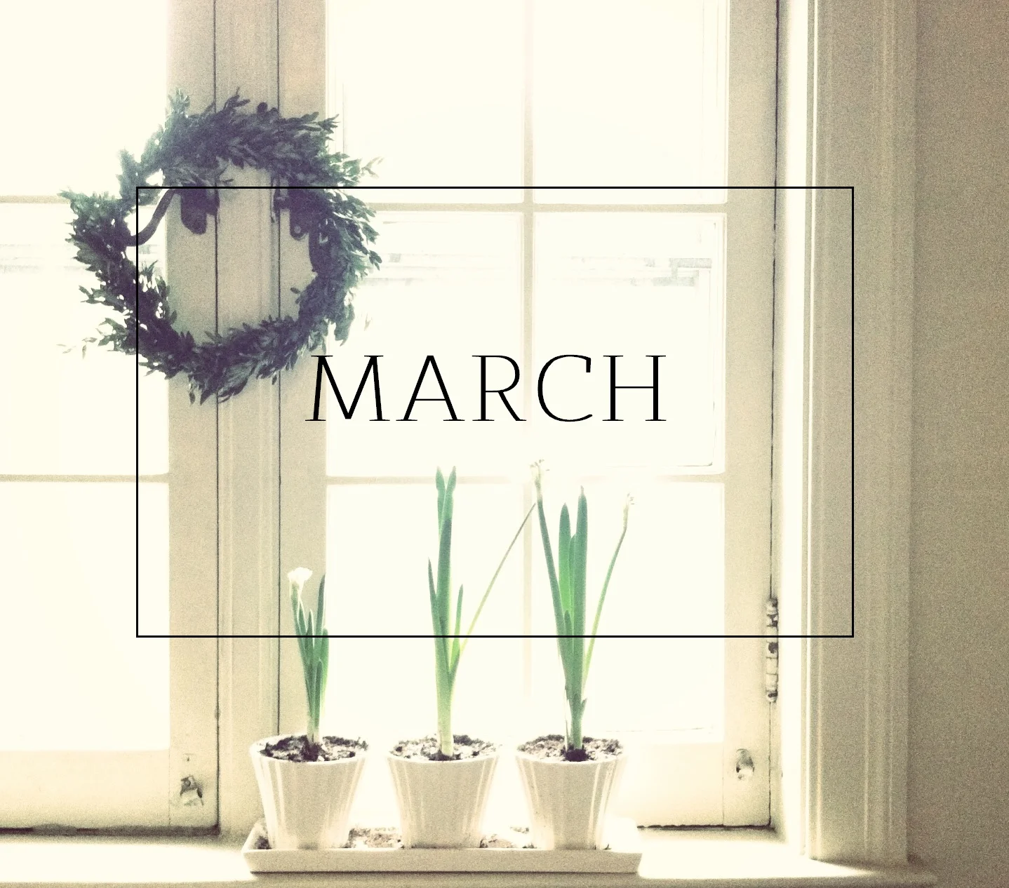 March Goals