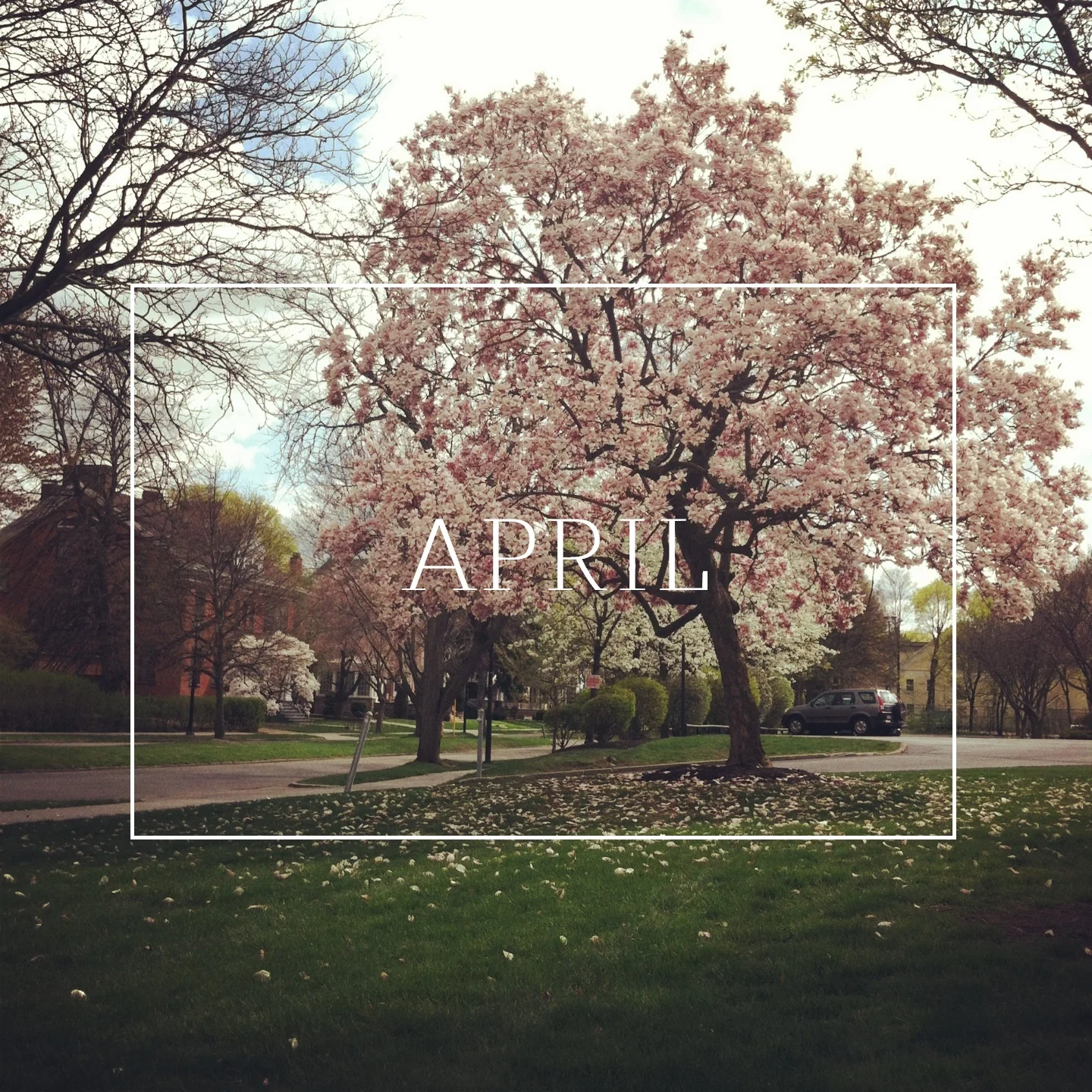 April Goals