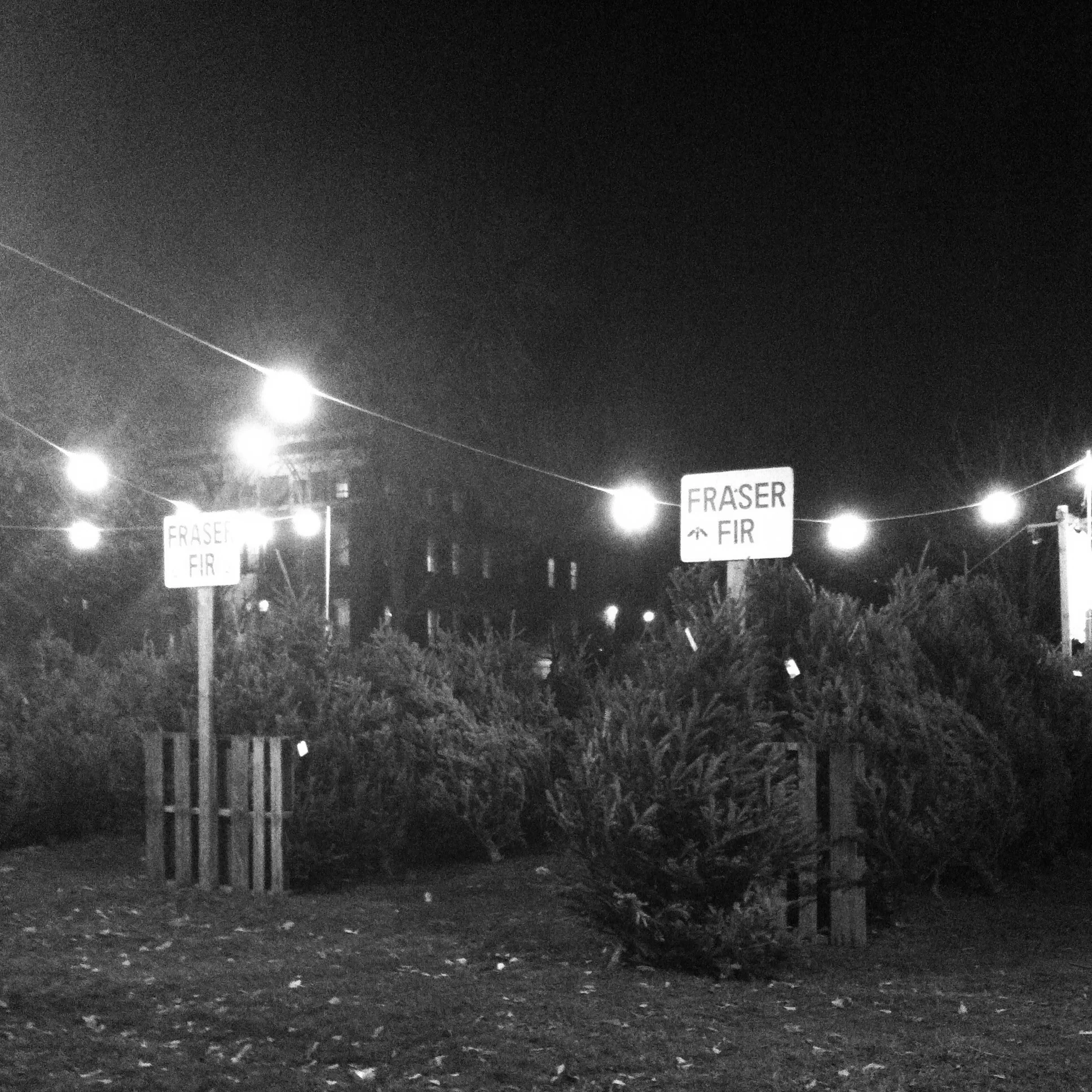 The Beauty of Christmas