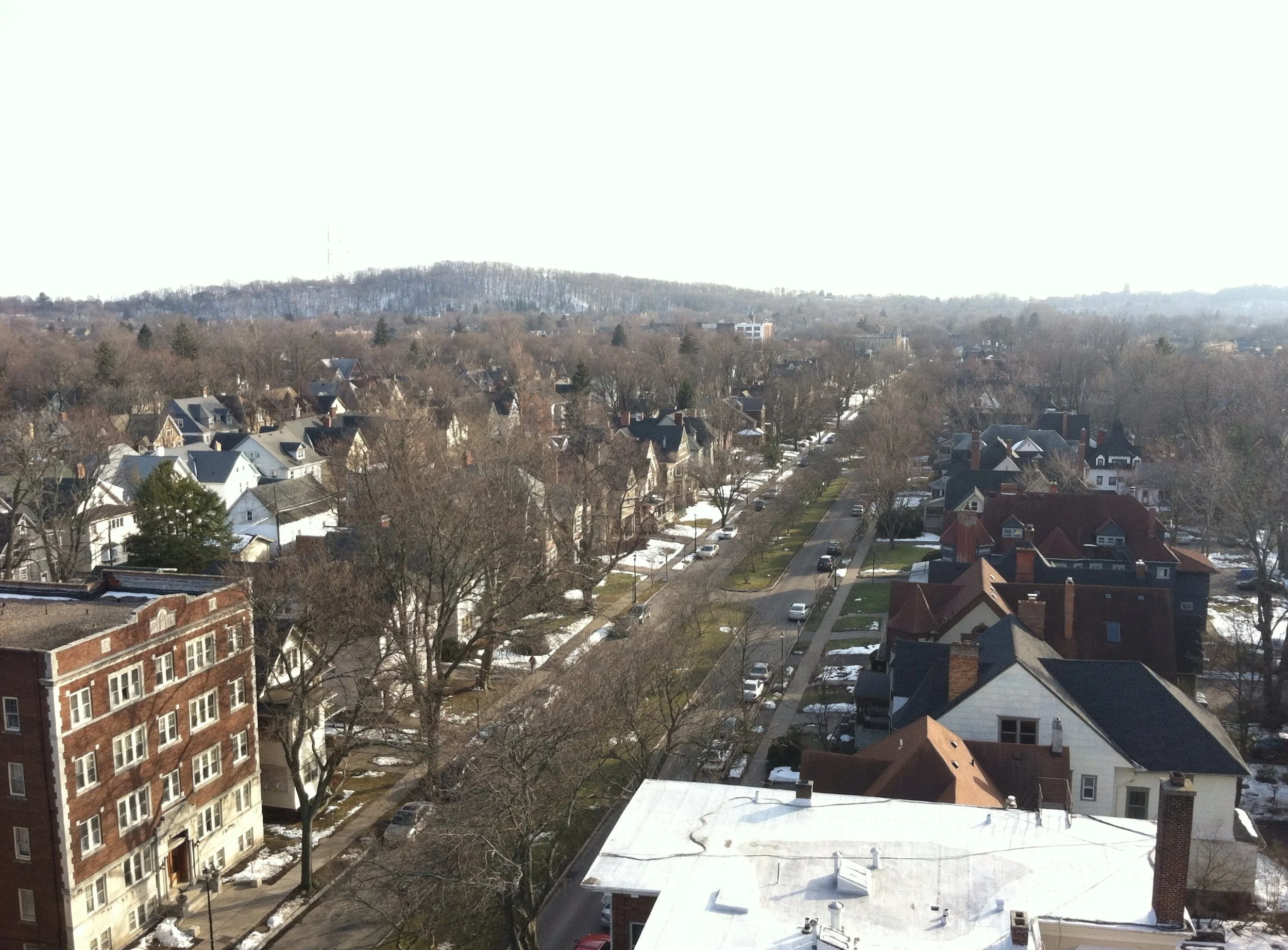 IMG_1583.jpg