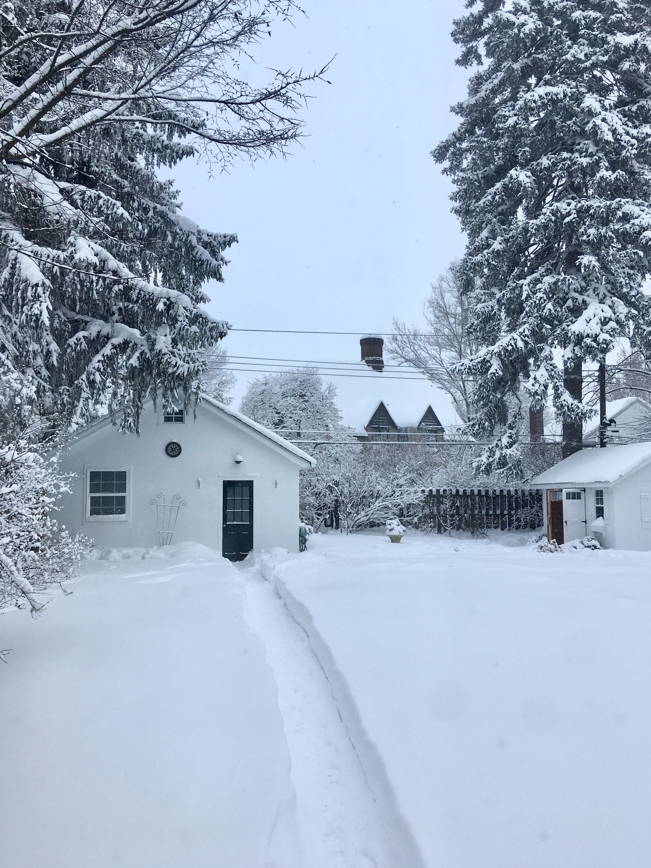 Life Lately: Winter Edition