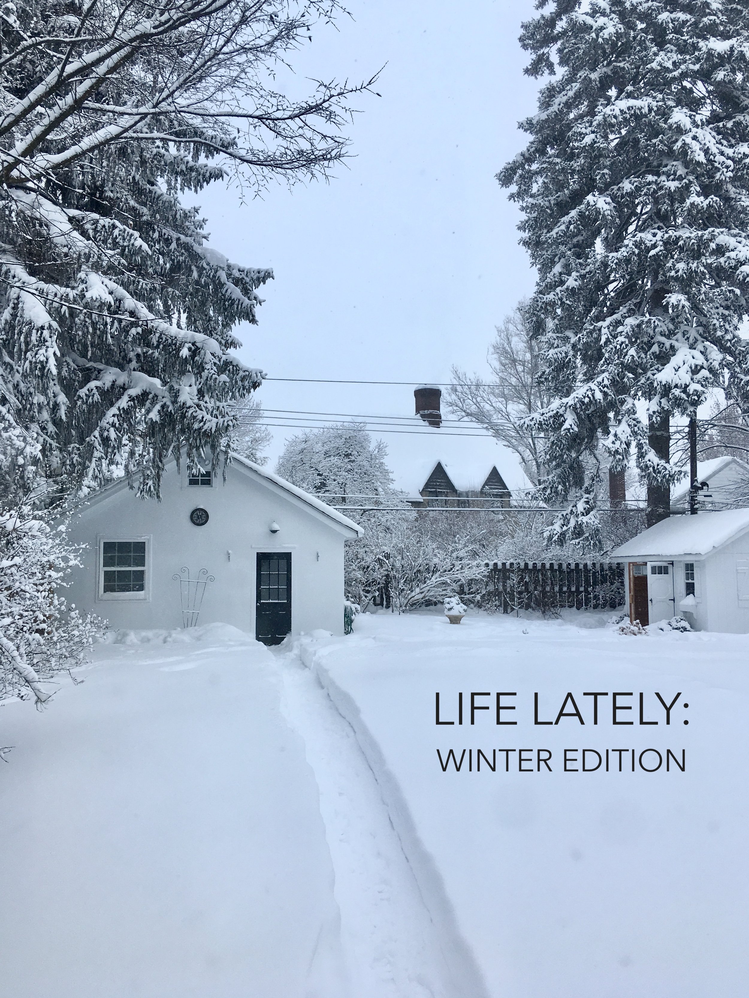 Life Lately: Winter Edition