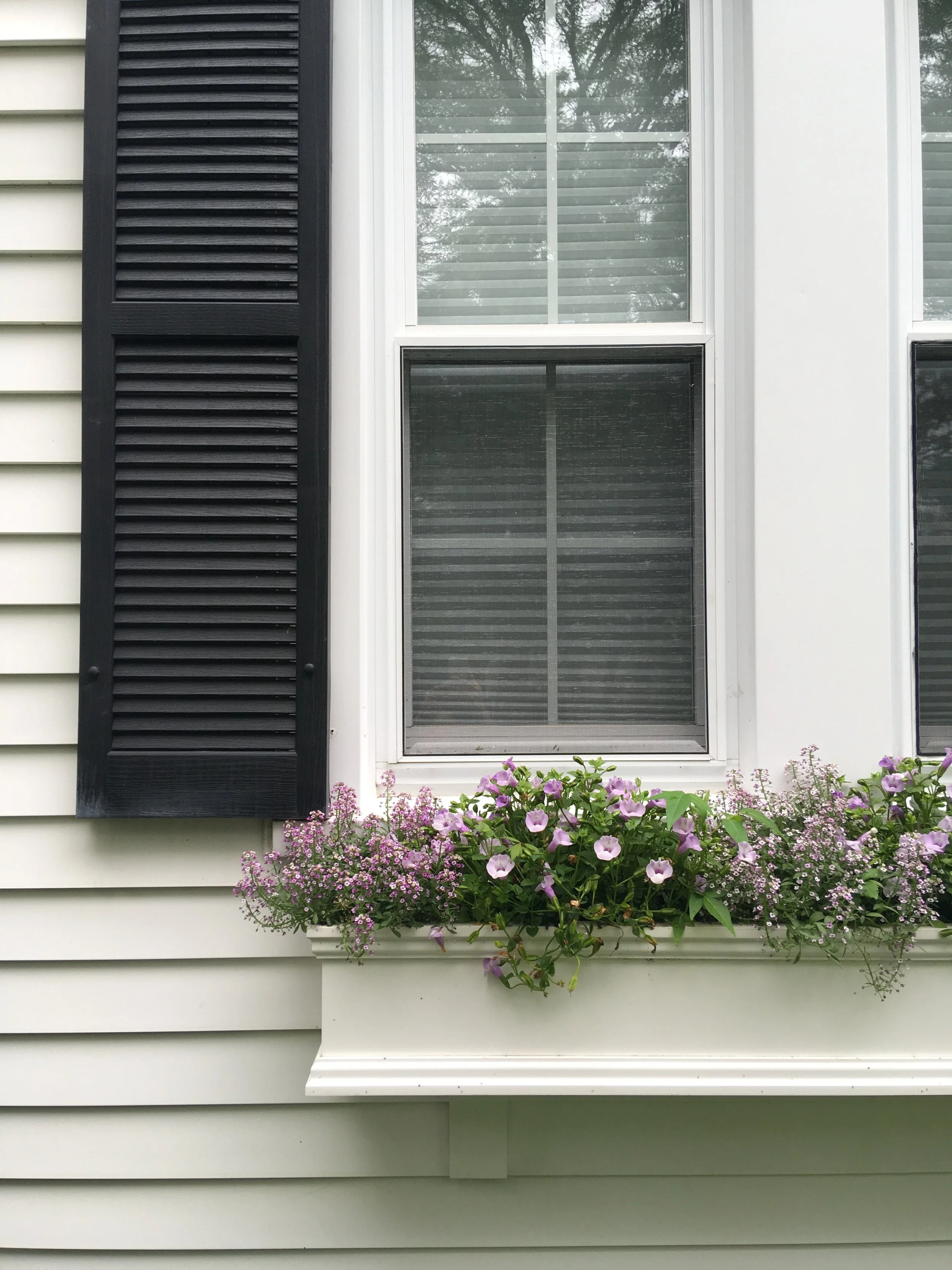 Life Lately: Summer Edition