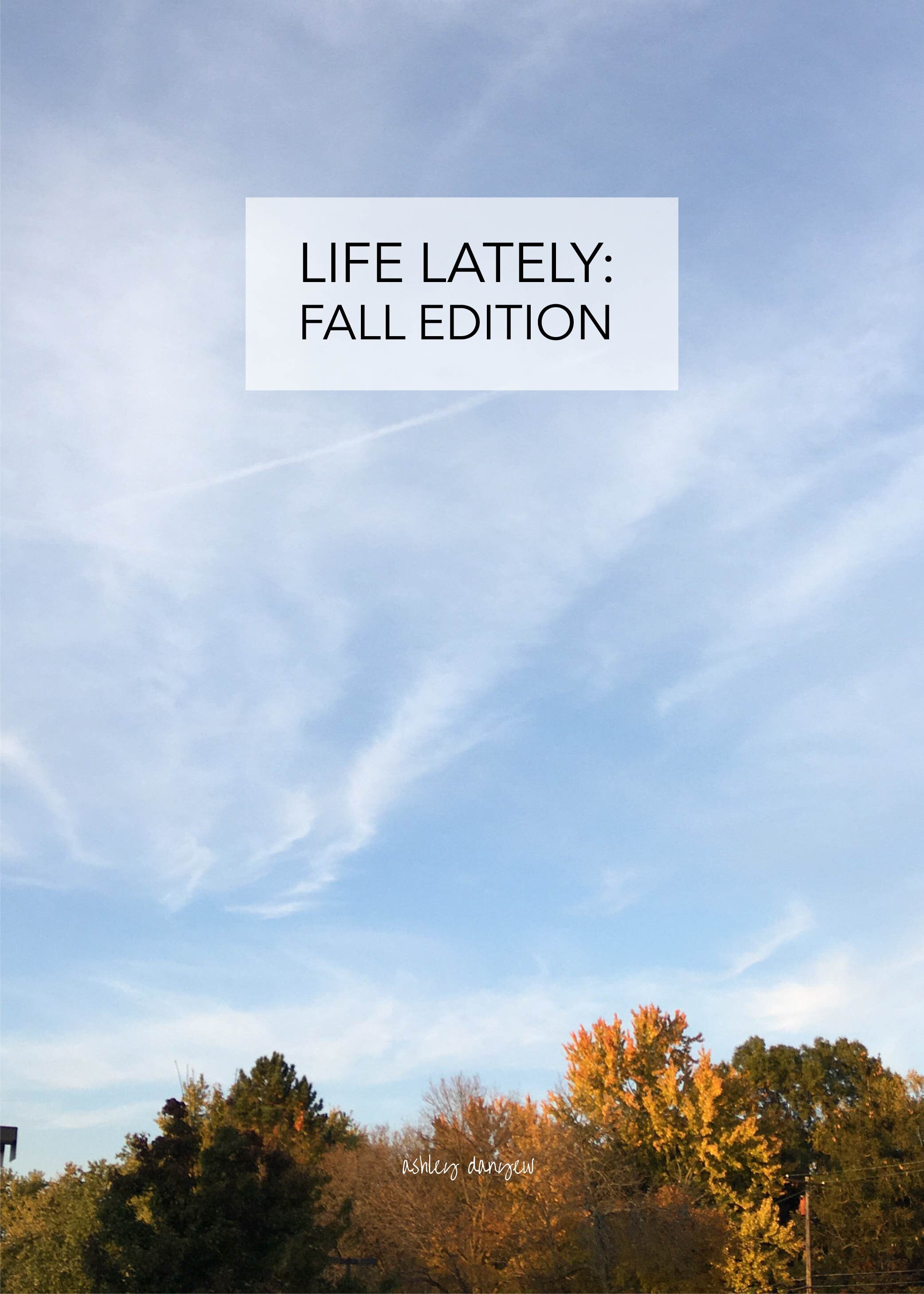 Life Lately: Fall Edition