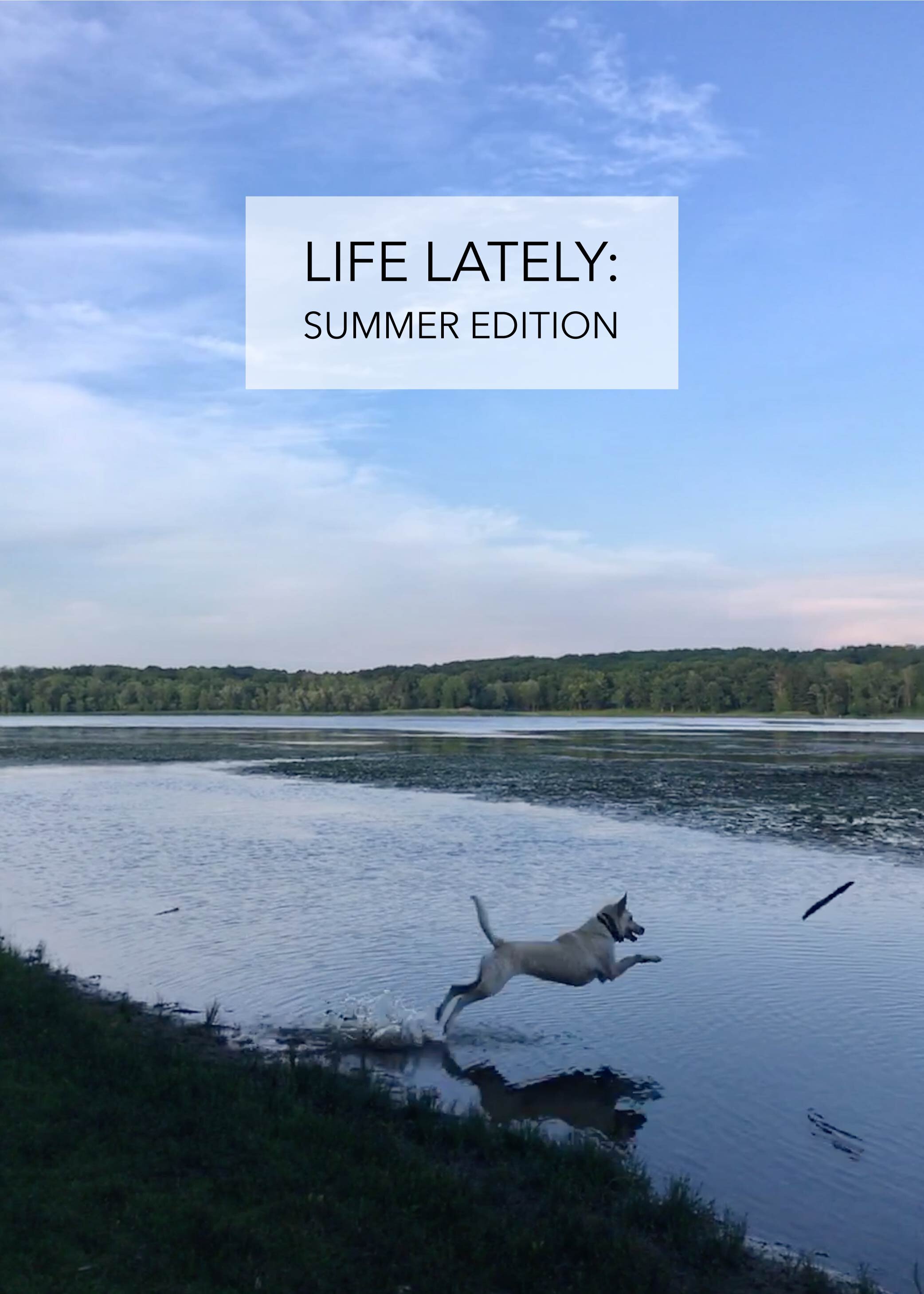 Life Lately: Summer Edition