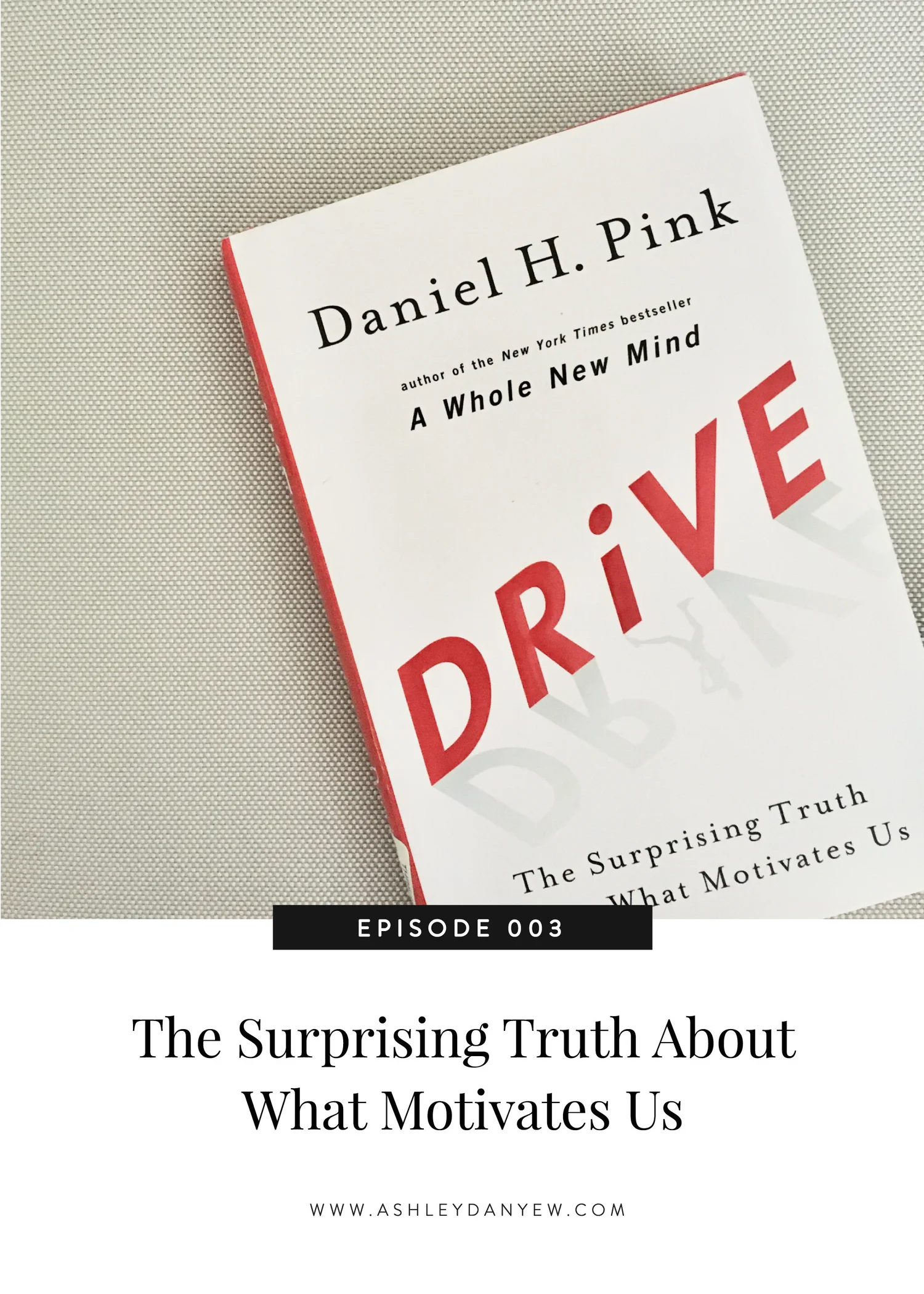 003 - The Surprising Truth About What Motivates Us episode artwork