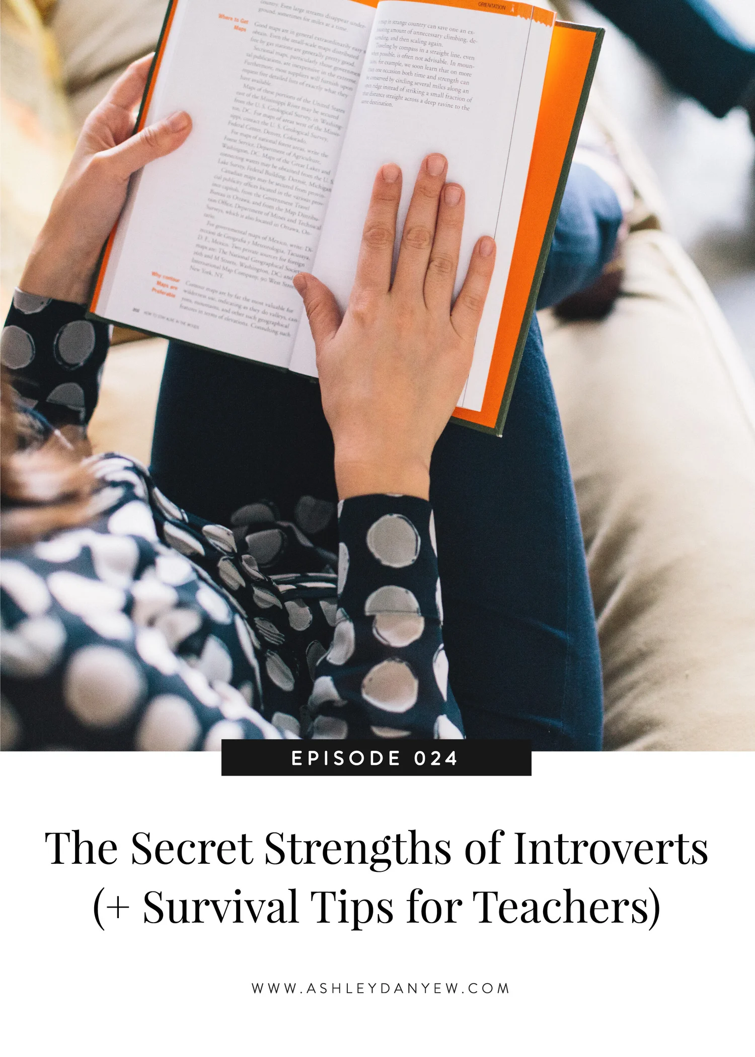 024 - The Secret Strengths of Introverts (+ Survival Tips for Teachers) episode artwork