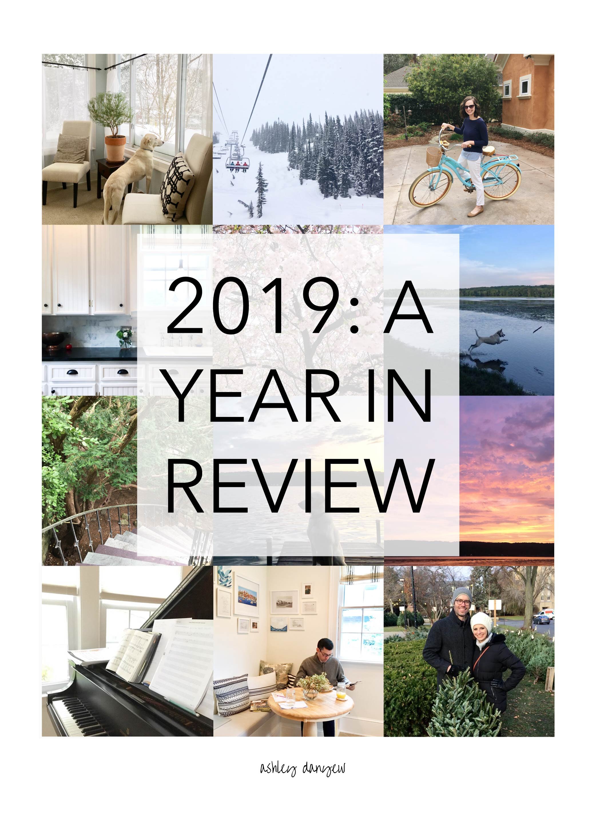 2019: A Year in Review