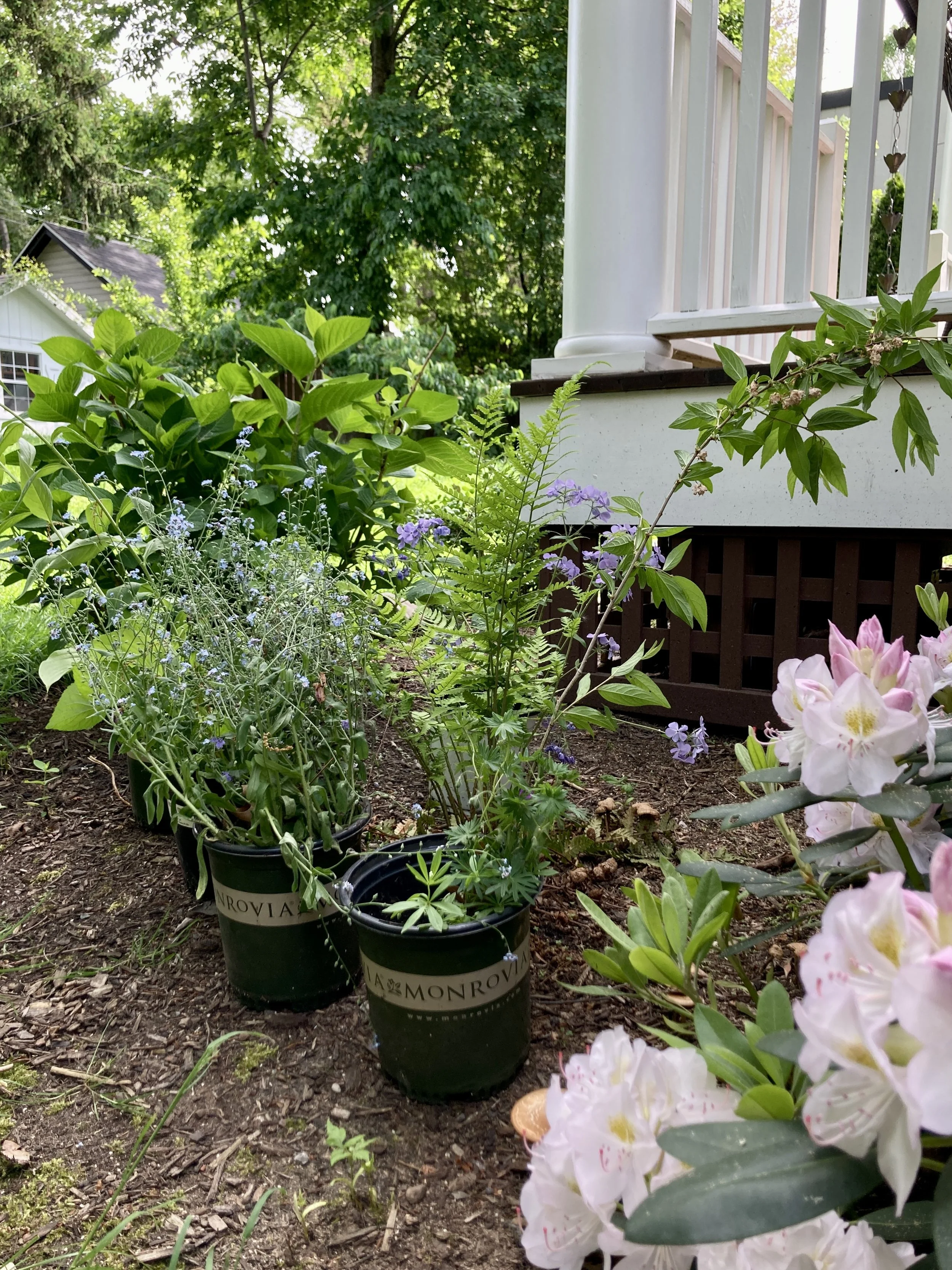 Editorial: A Time to Dig Up