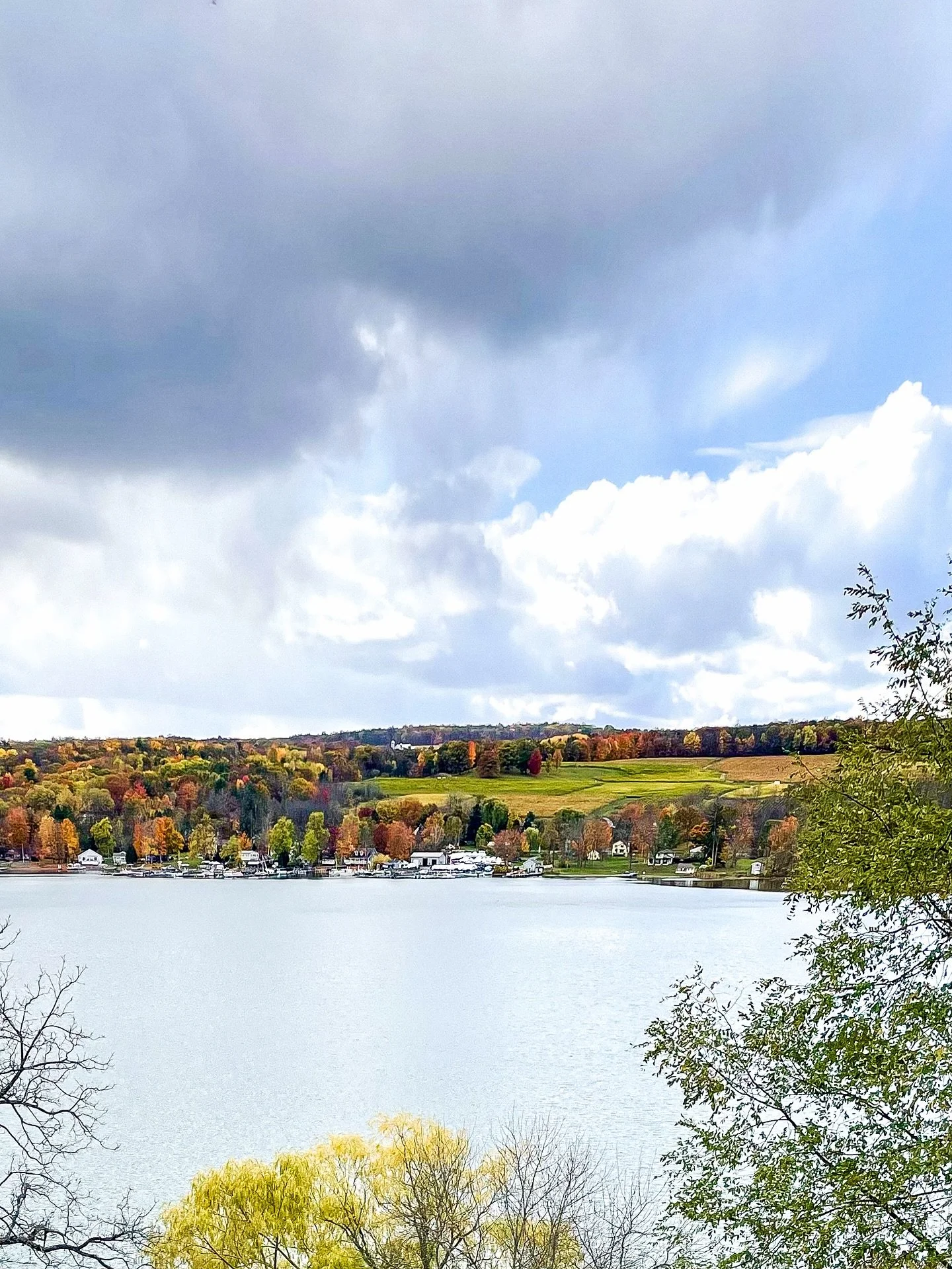 Fall in the Finger Lakes. 🍁 
It was a quick weekend trip, but full of so many special memories. A highlight was eating blueberry pancakes outside one morning - 47 degrees, but sunny and warm enough to not need a jacket!
#danyewadventures #rorydogl