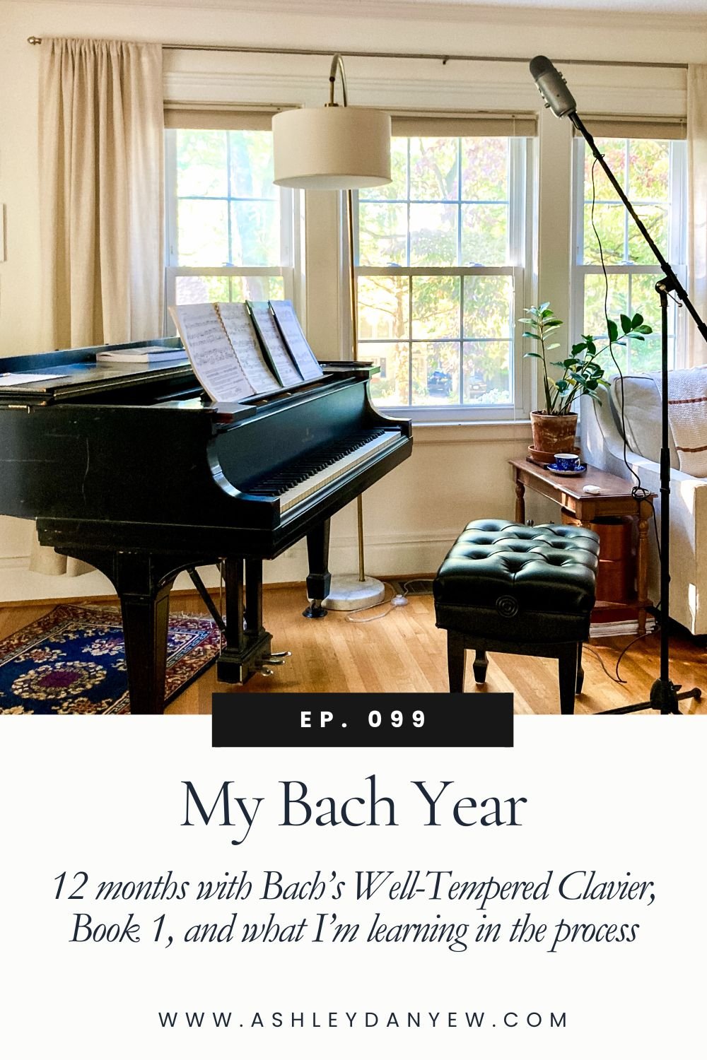 099 - My Bach Year