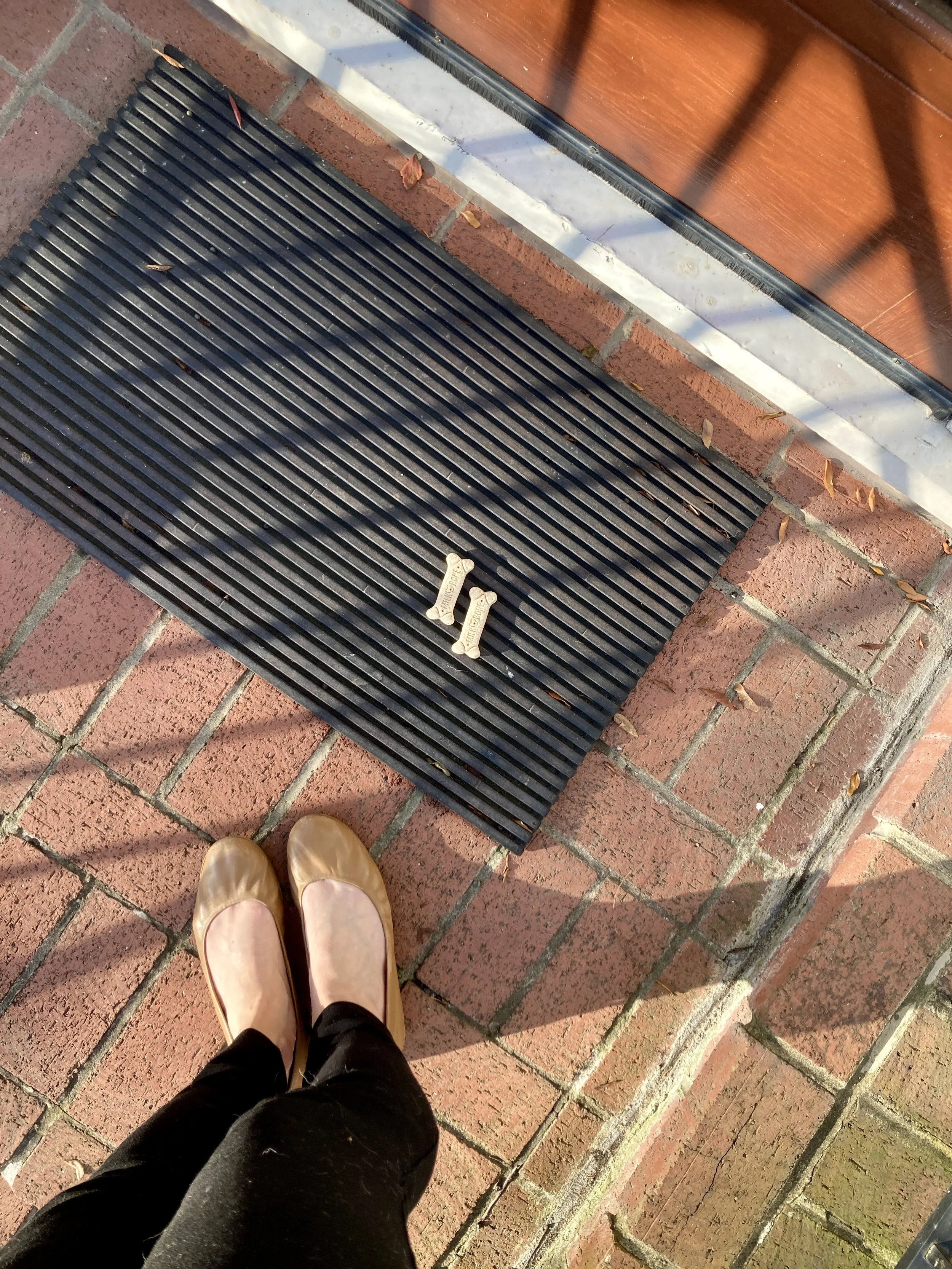 Two Milk Bones on a front doormat | Hold the Moment | essay by Ashley Danyew
