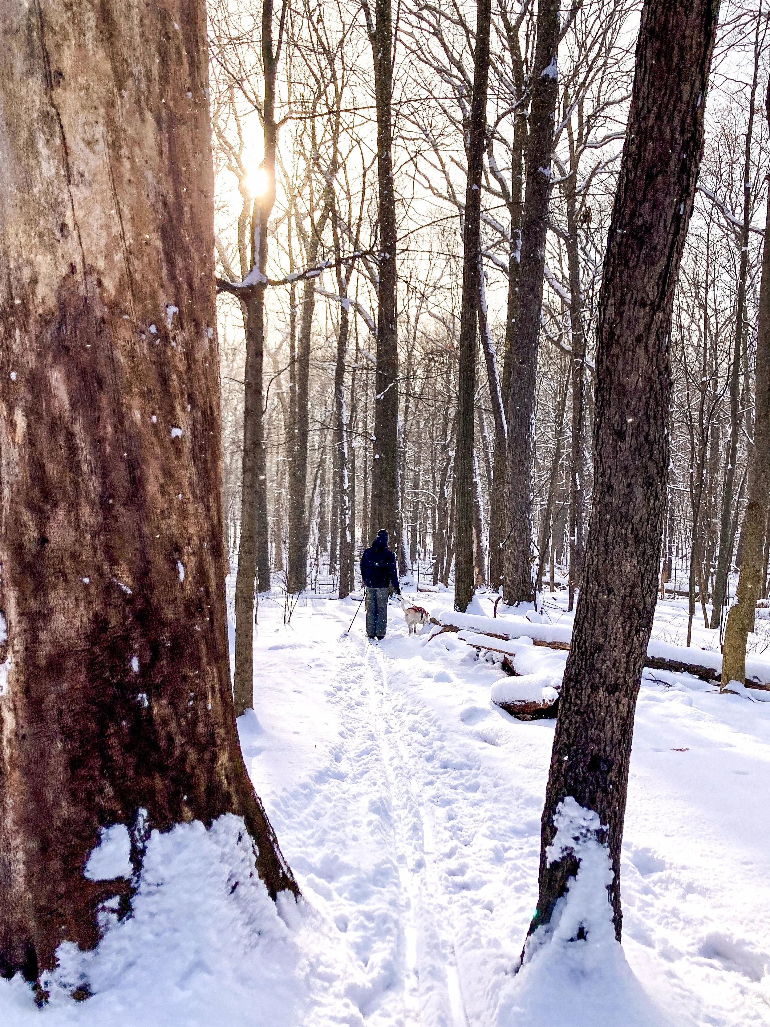 What We Can Learn From Winter