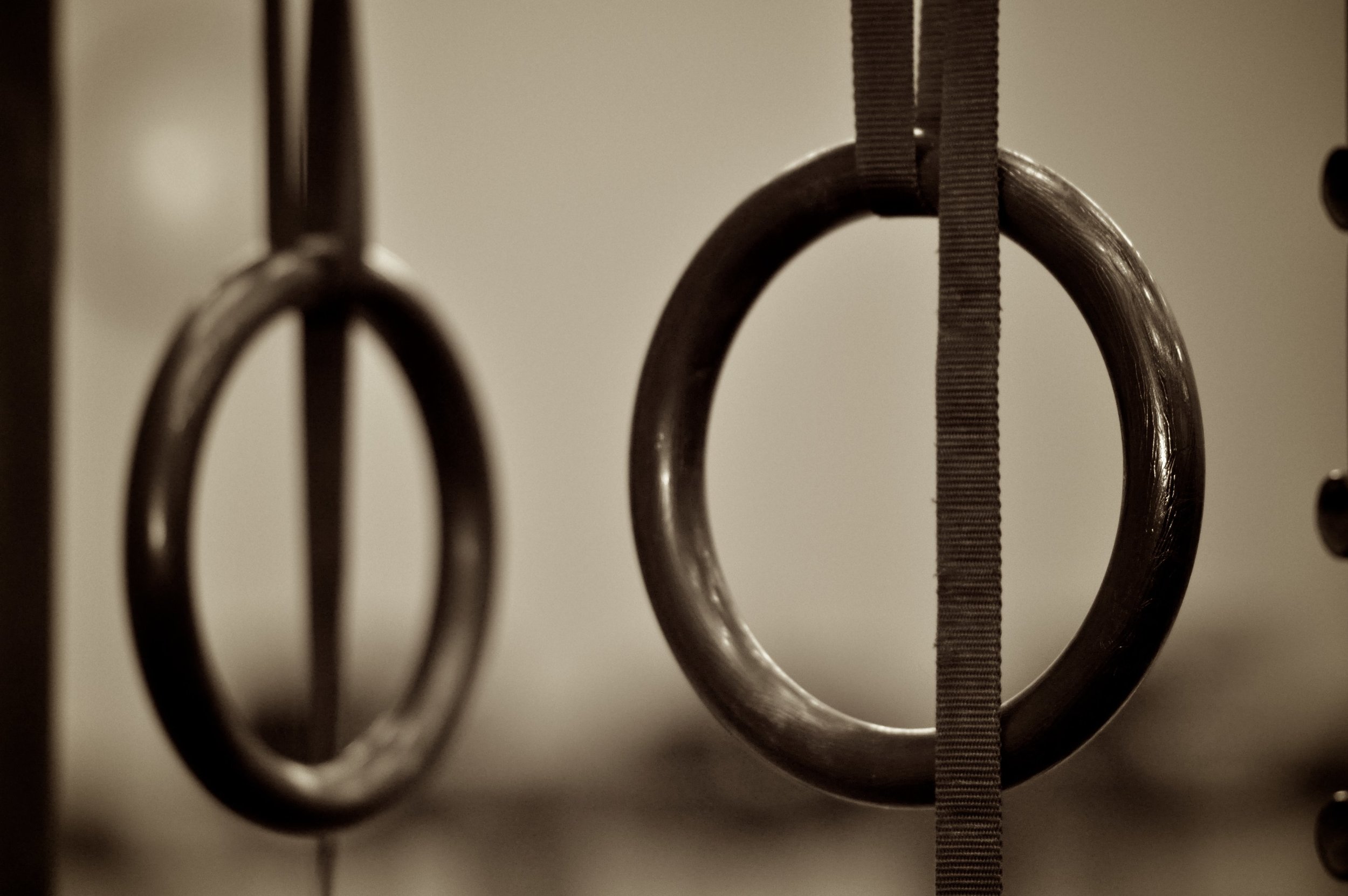 Geek P.O.D.: Gym Rings.