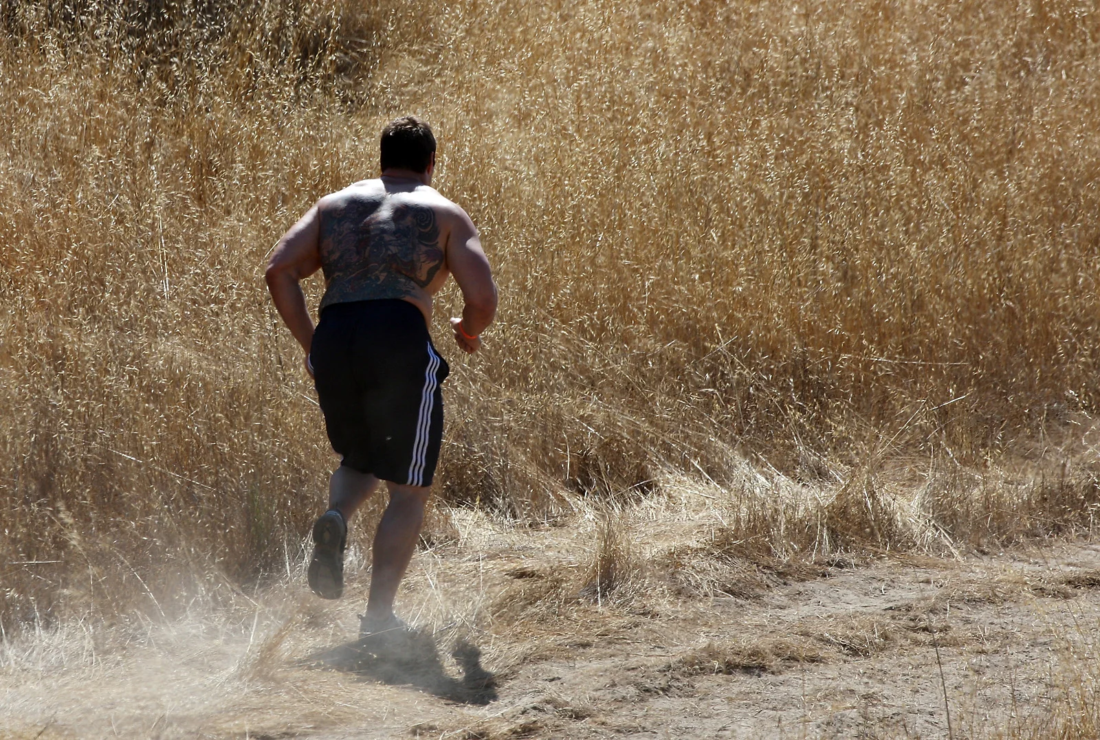 Thinking About Running?