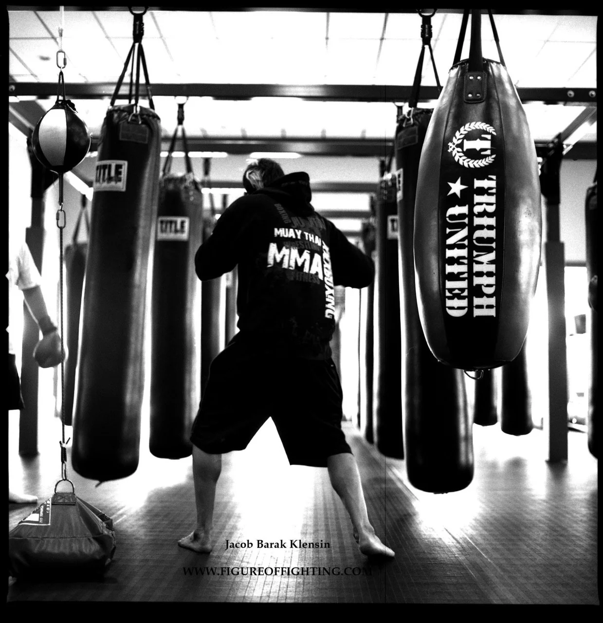 Geek P.O.D.: Fighting Fit.