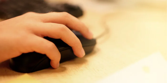 Online Training Programs.