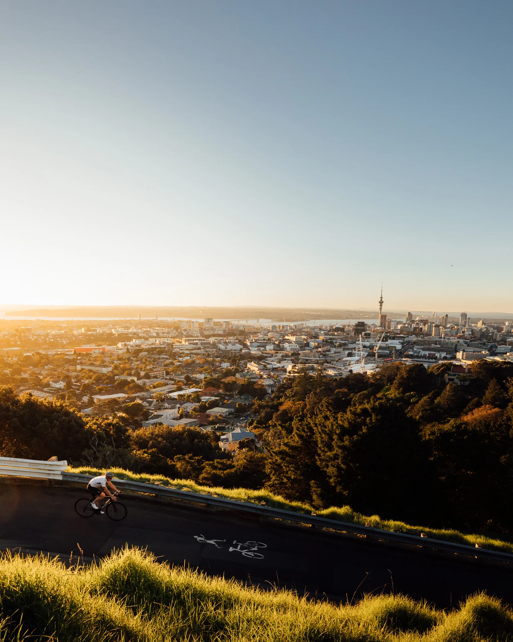 Cyclist \ Mt Eden