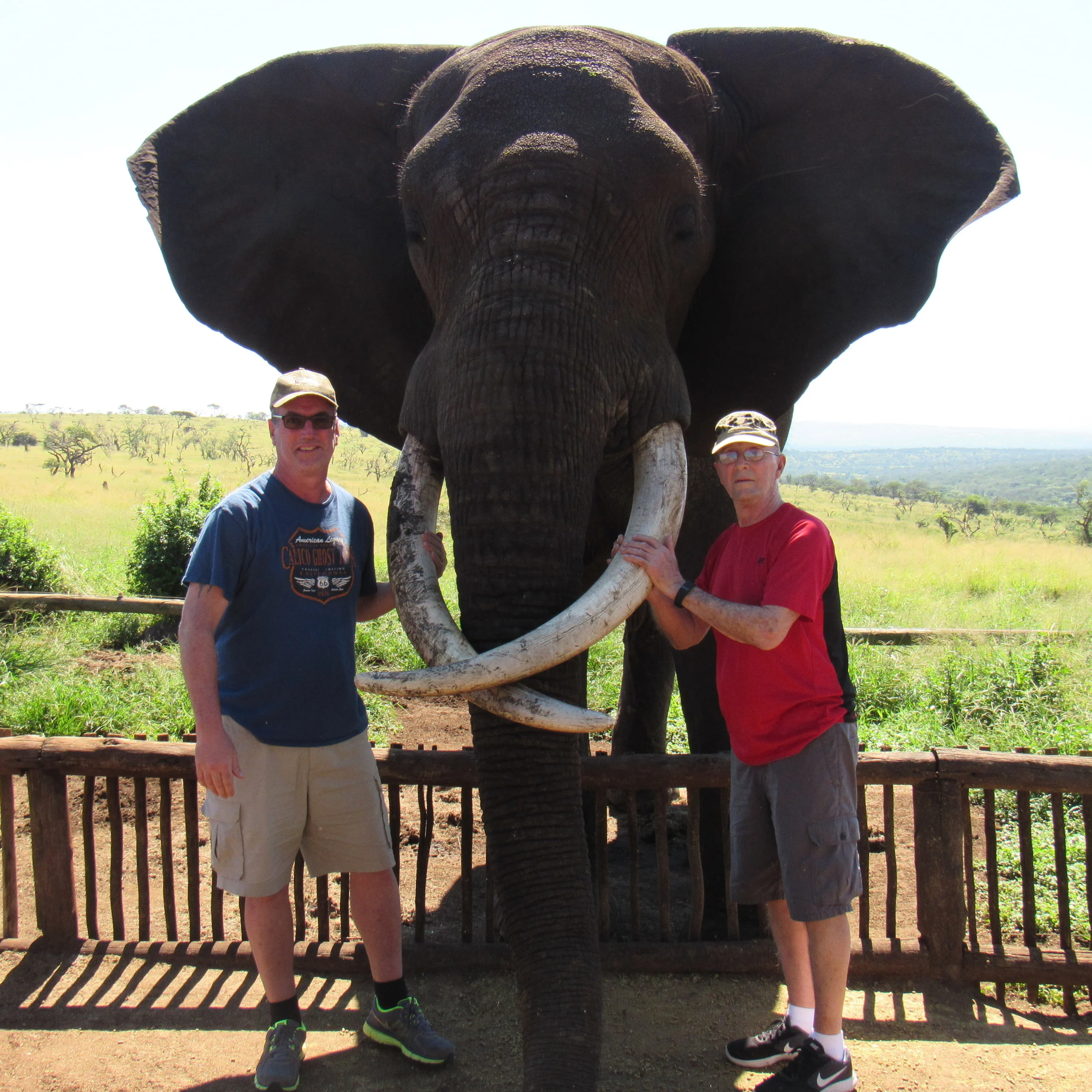 I Bless The Rains Down In Africa